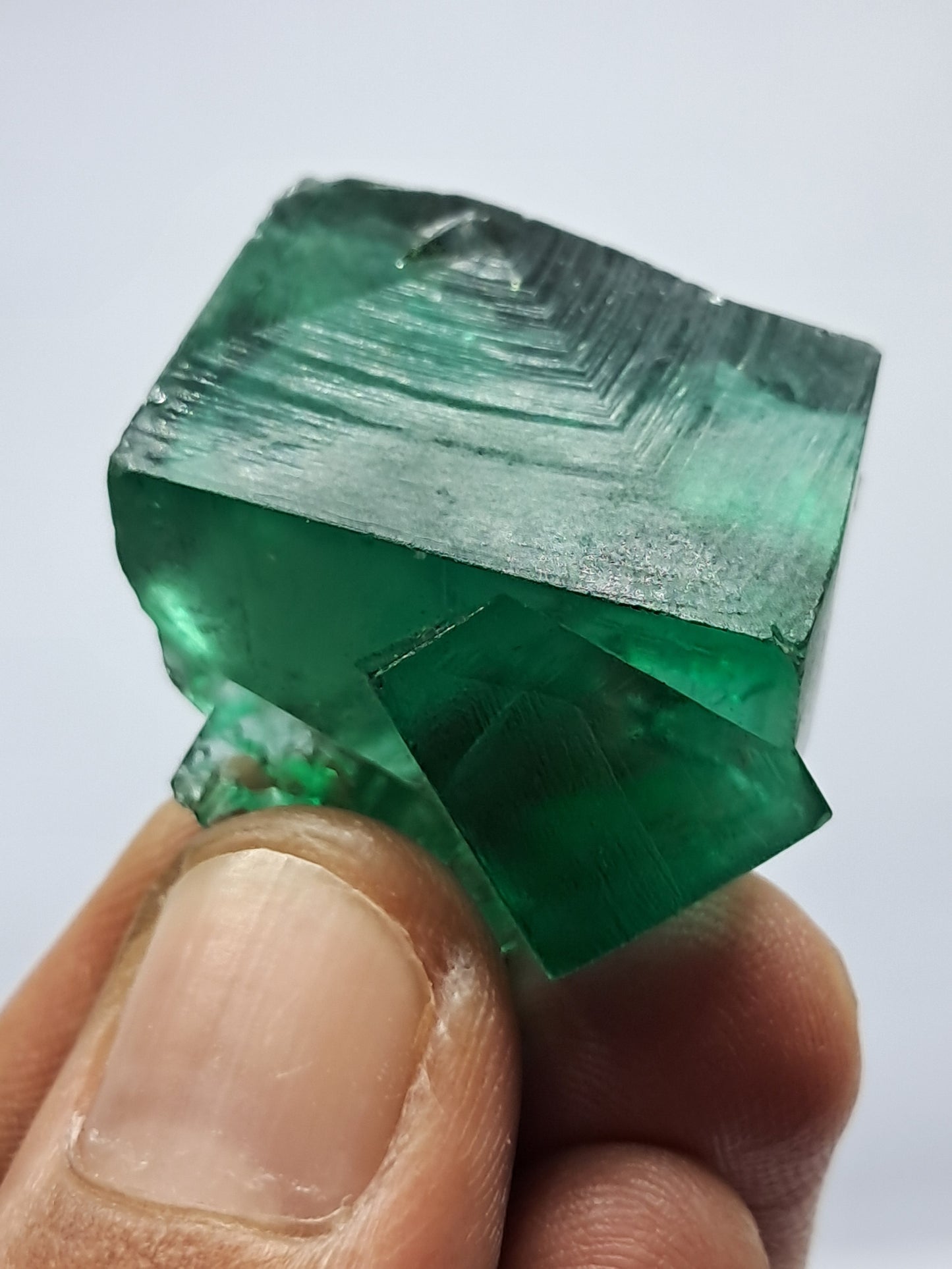 UV Reactive Fluorite (Durham, UK) Bicolor Natural Crystal | Mineral Specimen #FL2