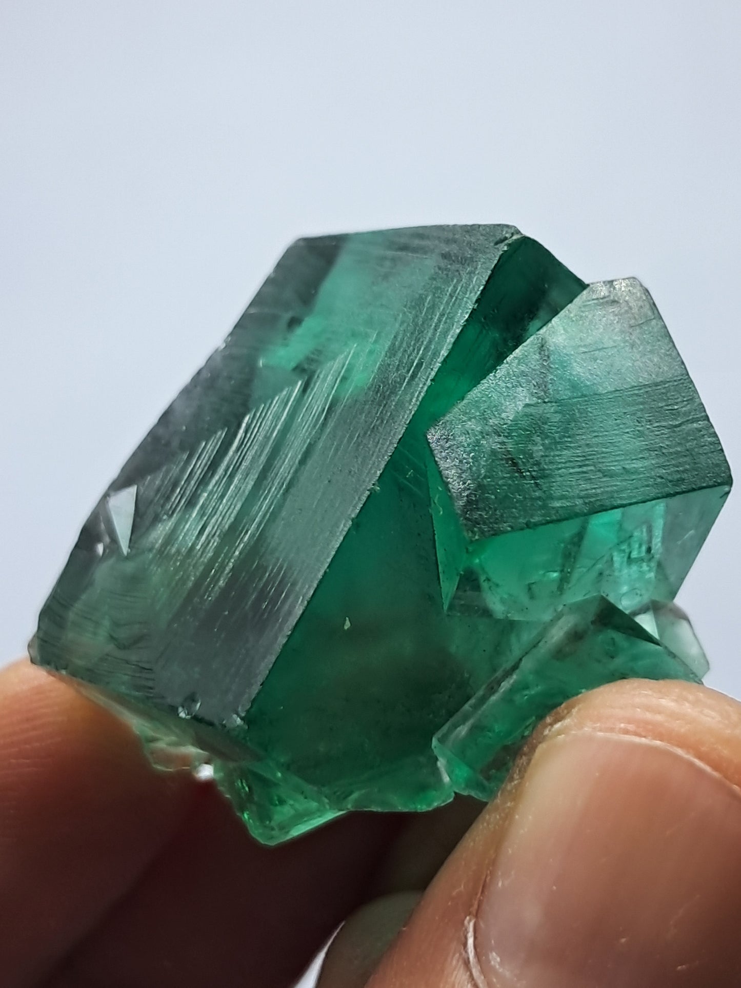 UV Reactive Fluorite (Durham, UK) Bicolor Natural Crystal | Mineral Specimen #FL2