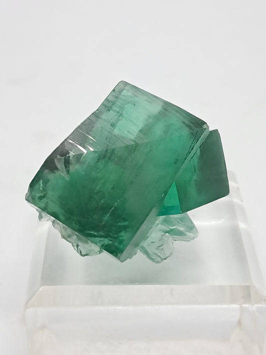 UV Reactive Fluorite (Durham, UK) Bicolor Natural Crystal | Mineral Specimen #FL2