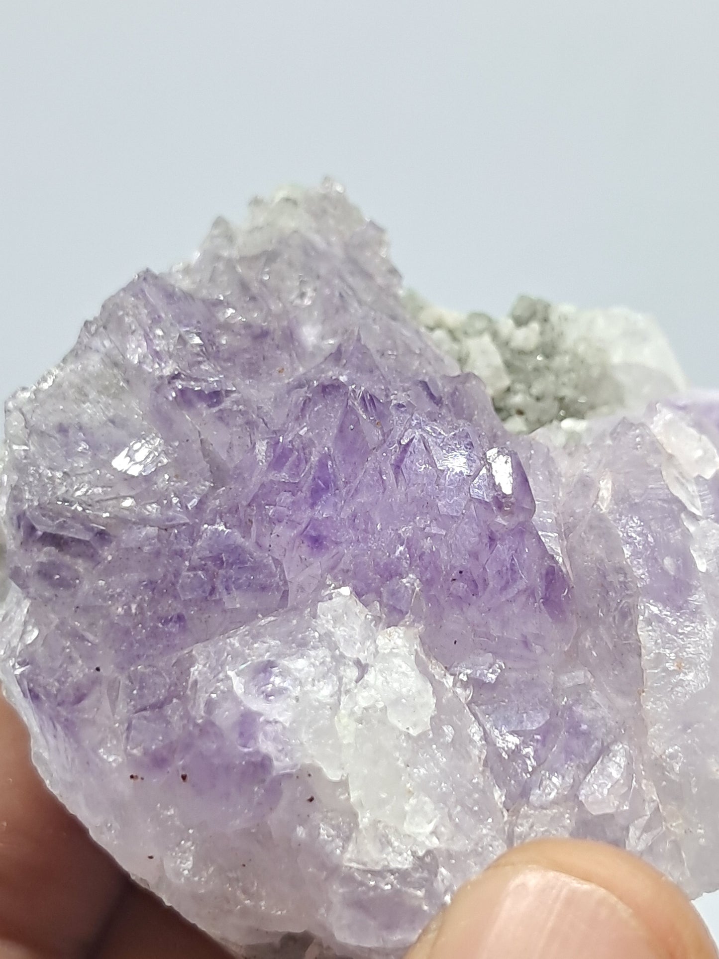 Amatista en racimo de cetro sobre matriz (Karur) Cristal de cuarzo lavanda | Piedra natural | Ejemplar mineral n.° KA74