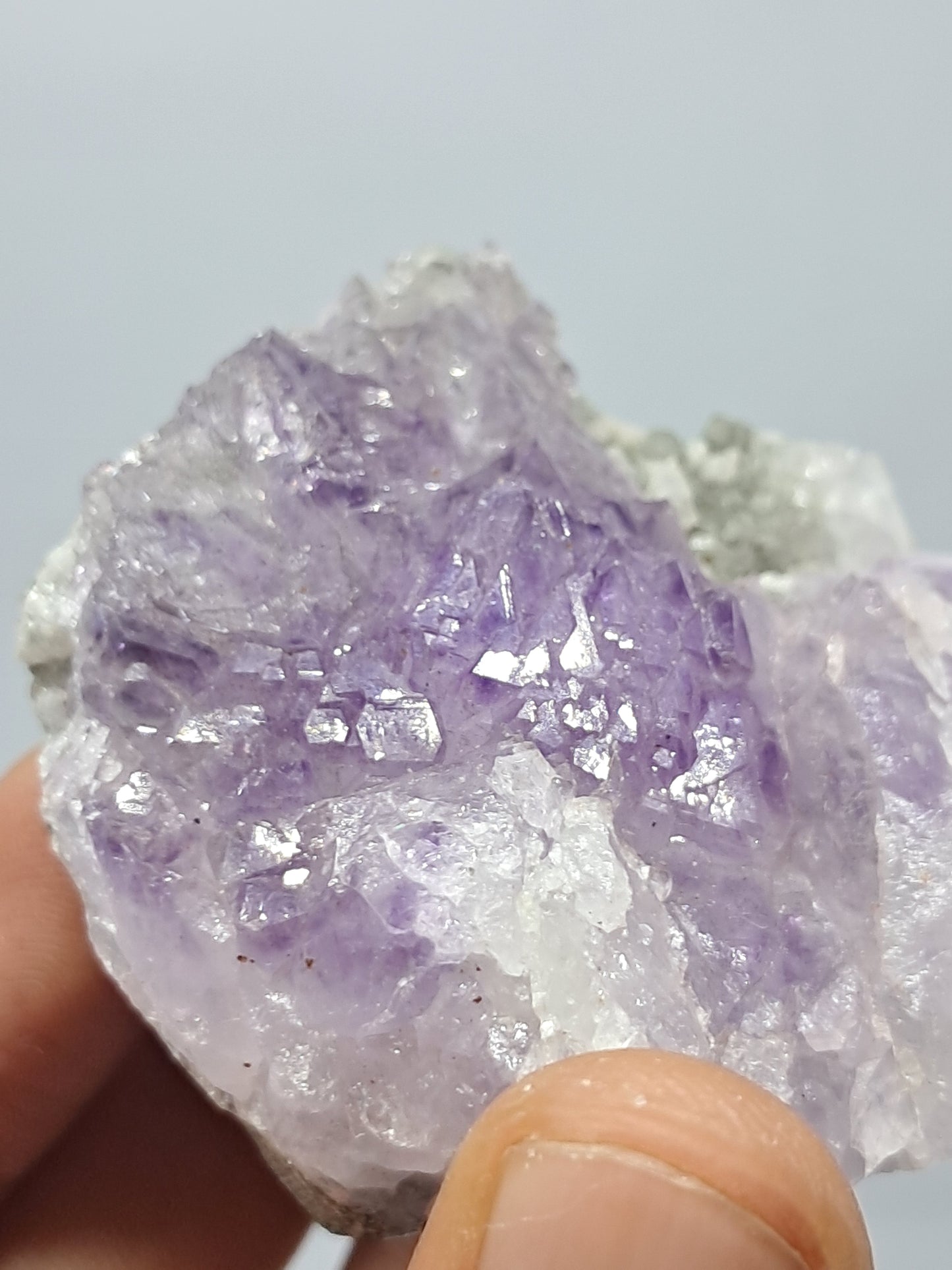 Amatista en racimo de cetro sobre matriz (Karur) Cristal de cuarzo lavanda | Piedra natural | Ejemplar mineral n.° KA74