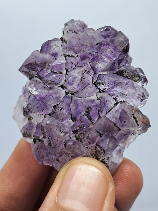 Cúmulo de amatista en cetro con cúmulo de cristales de hematita (karur) | Piedra natural | Ejemplar mineral n.° KA80