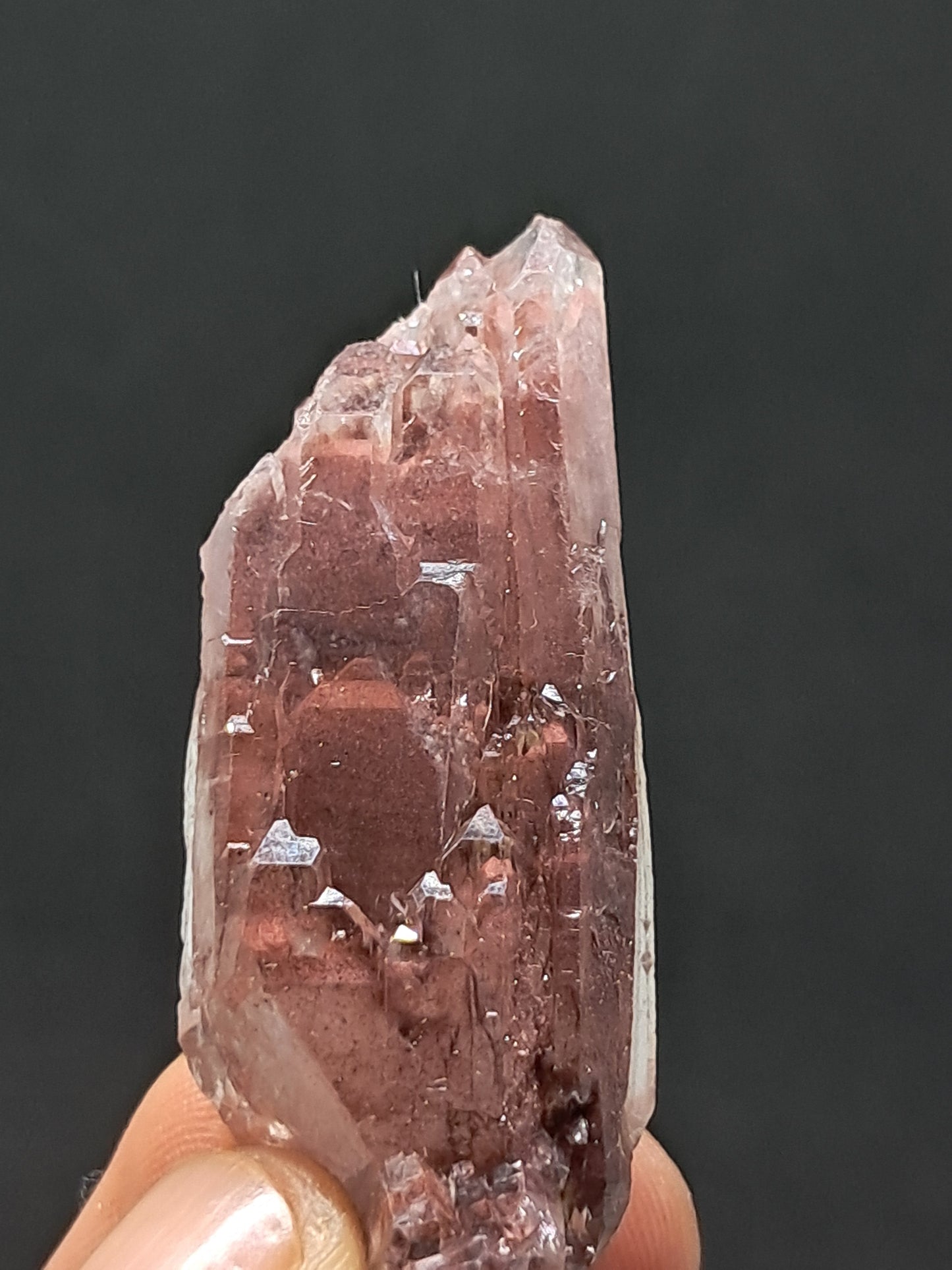 Cuarzo Elestial Fantasma de Hematita (Telangana) Punta de Cristal Natural | Ejemplar Mineral n.° HPQ23