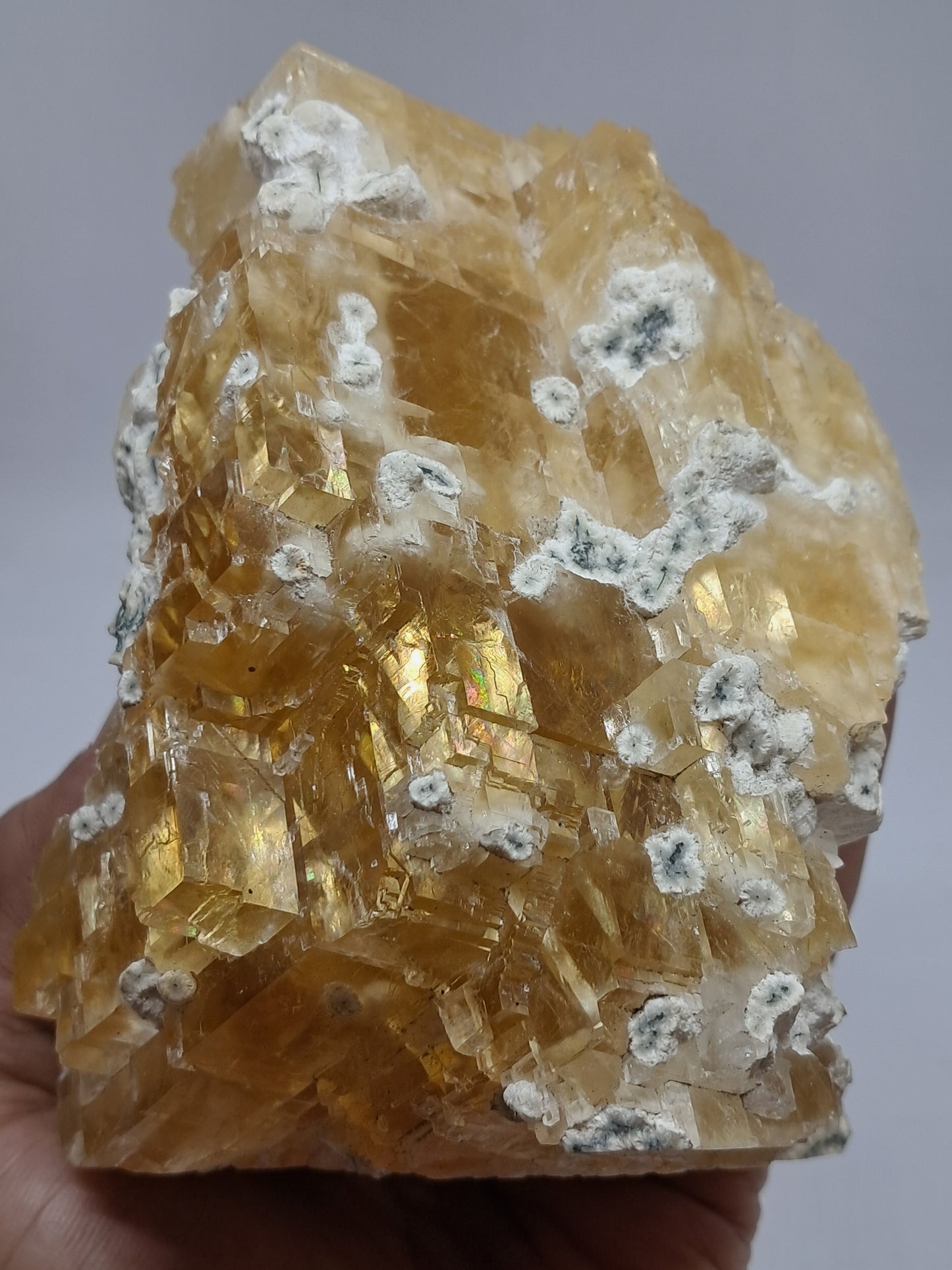 Honey Calcite w/ Okenite (India) Rough Crystal | Natural Stone | Mineral Specimen #CA20