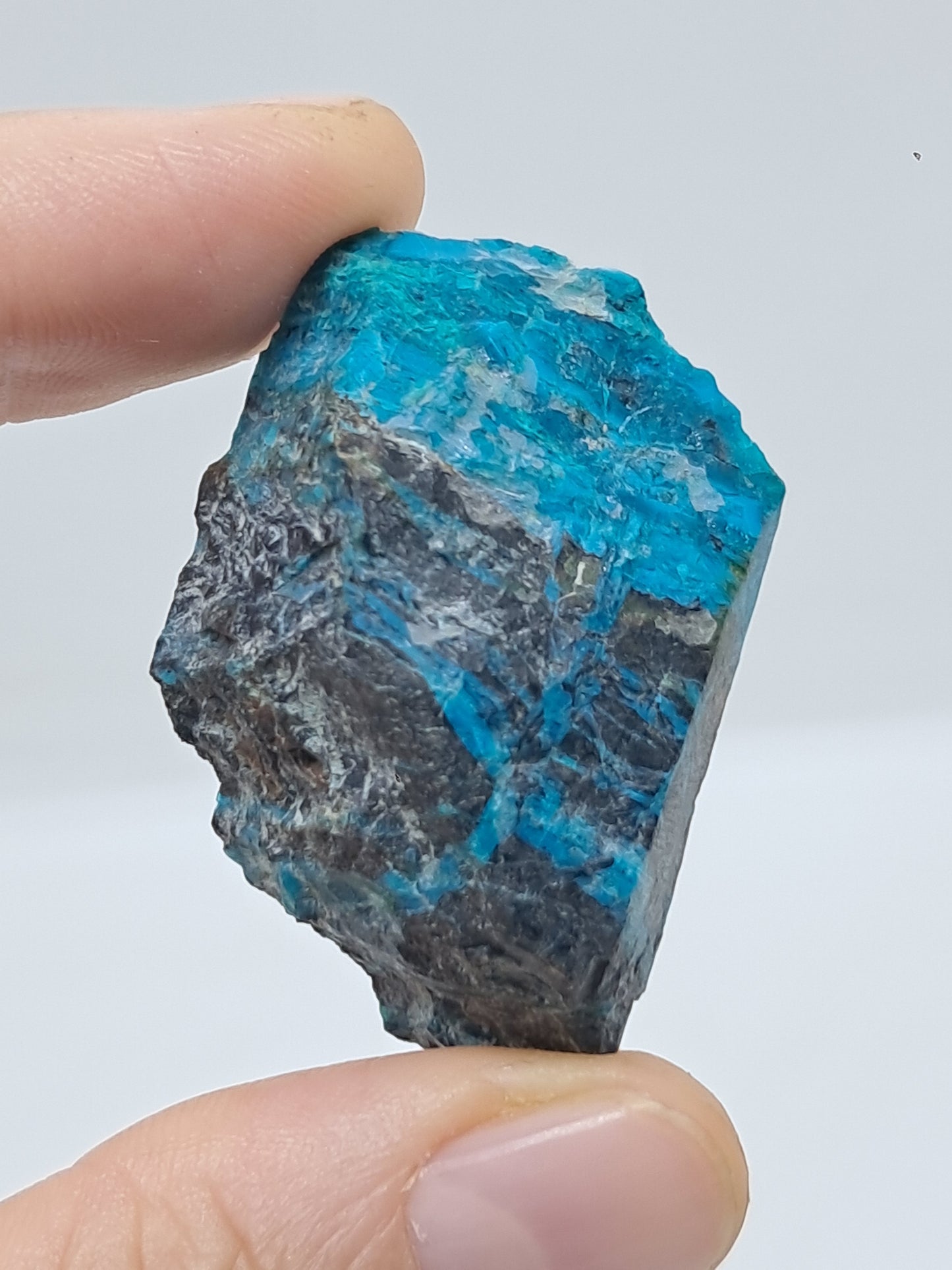Blue Opal from Chile (Atacama) *New Find*| Rough Natural Stone | Rare Mineral Specimen #CBO3