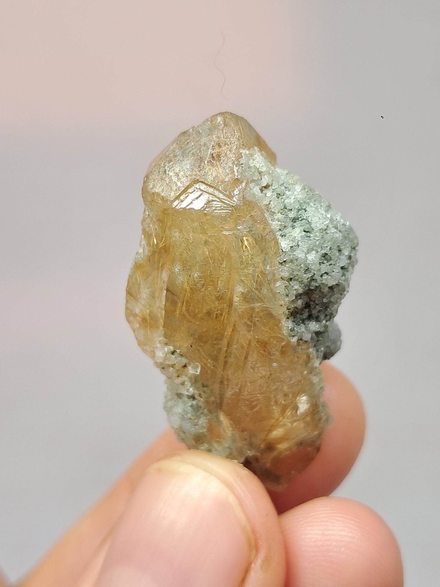 Quartz w/ Chlorite and Golden Rutile Inclusions (Kullu) Rough Stone | Natural Crystal Point | Mineral Specimen #CH42