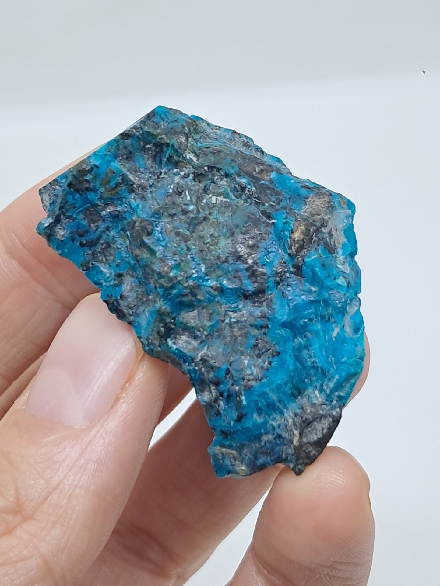 Blue Opal from Chile (Atacama) *New Find*| Rough Natural Stone | Rare Mineral Specimen #CBO2