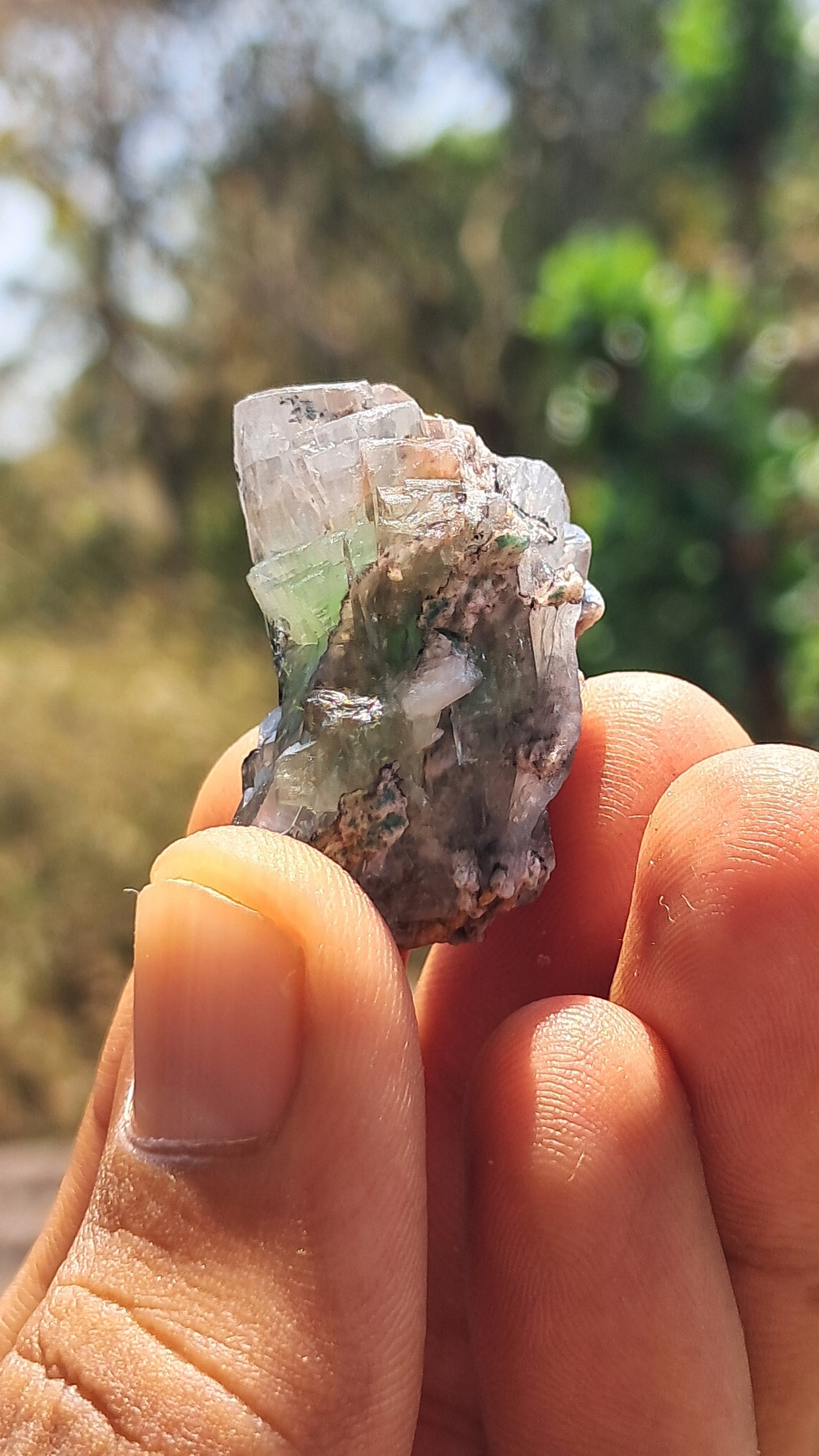 Green Apophyllite (Fluorapophyllite) (Ajanta) Natural Crystal | Mineral Specimen #GA29