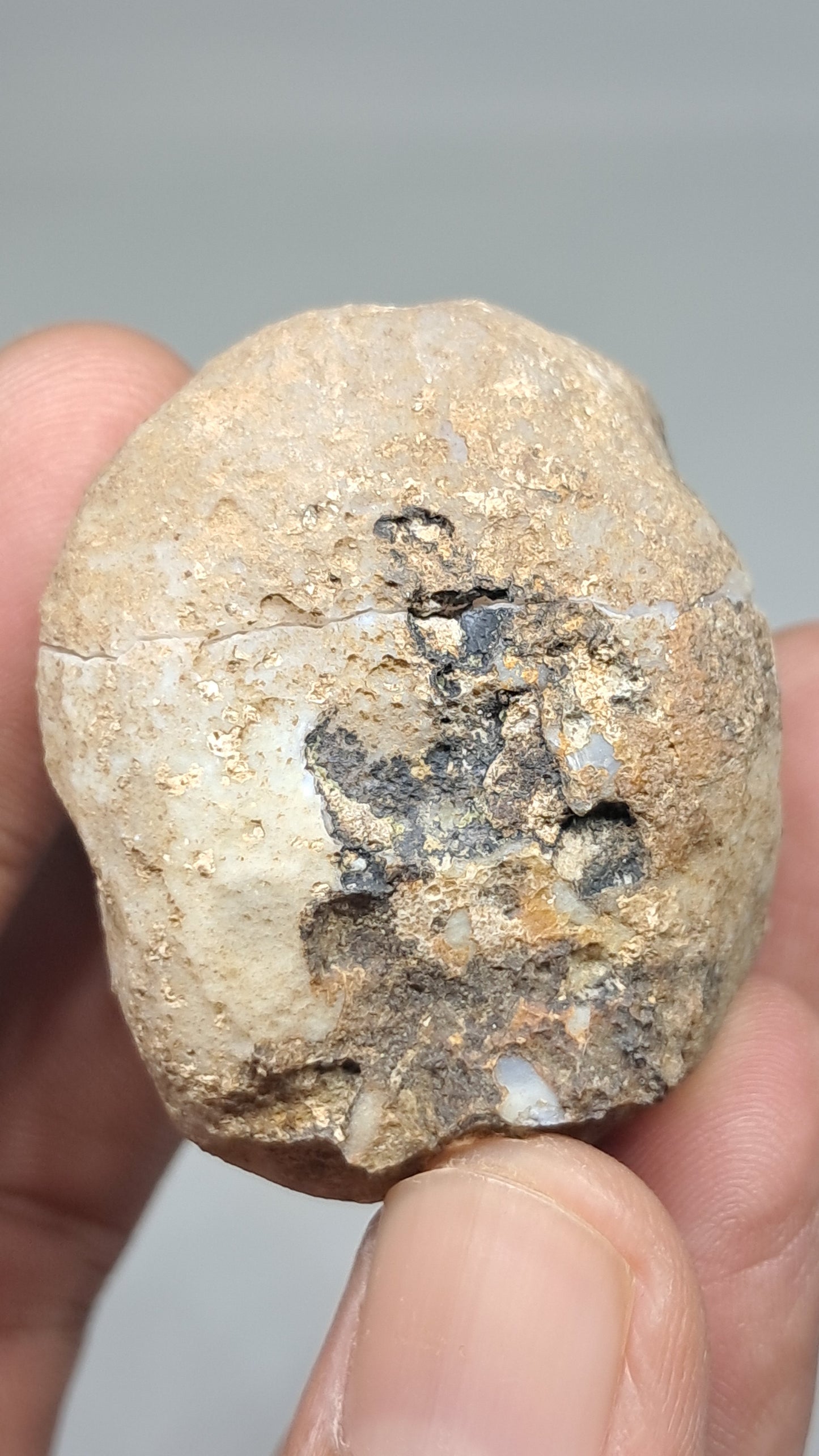 Geoda de amatista (Ajanta) | Cavidad profunda | Cristal natural | Piedra en bruto #GD29