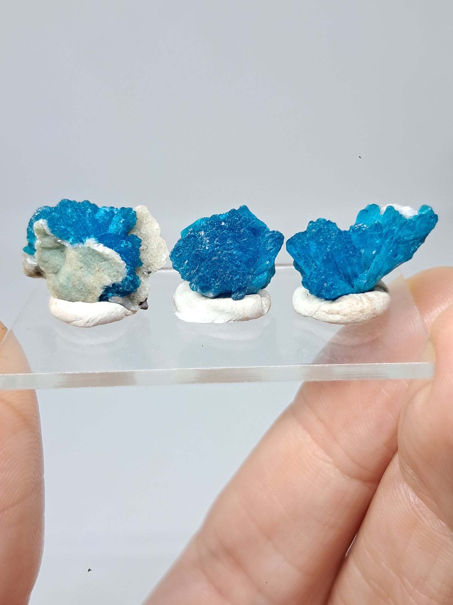 Conjunto de 3 cavansitas (wagholi) en bruto | Cristal natural | Ejemplar mineral raro n.° CV39