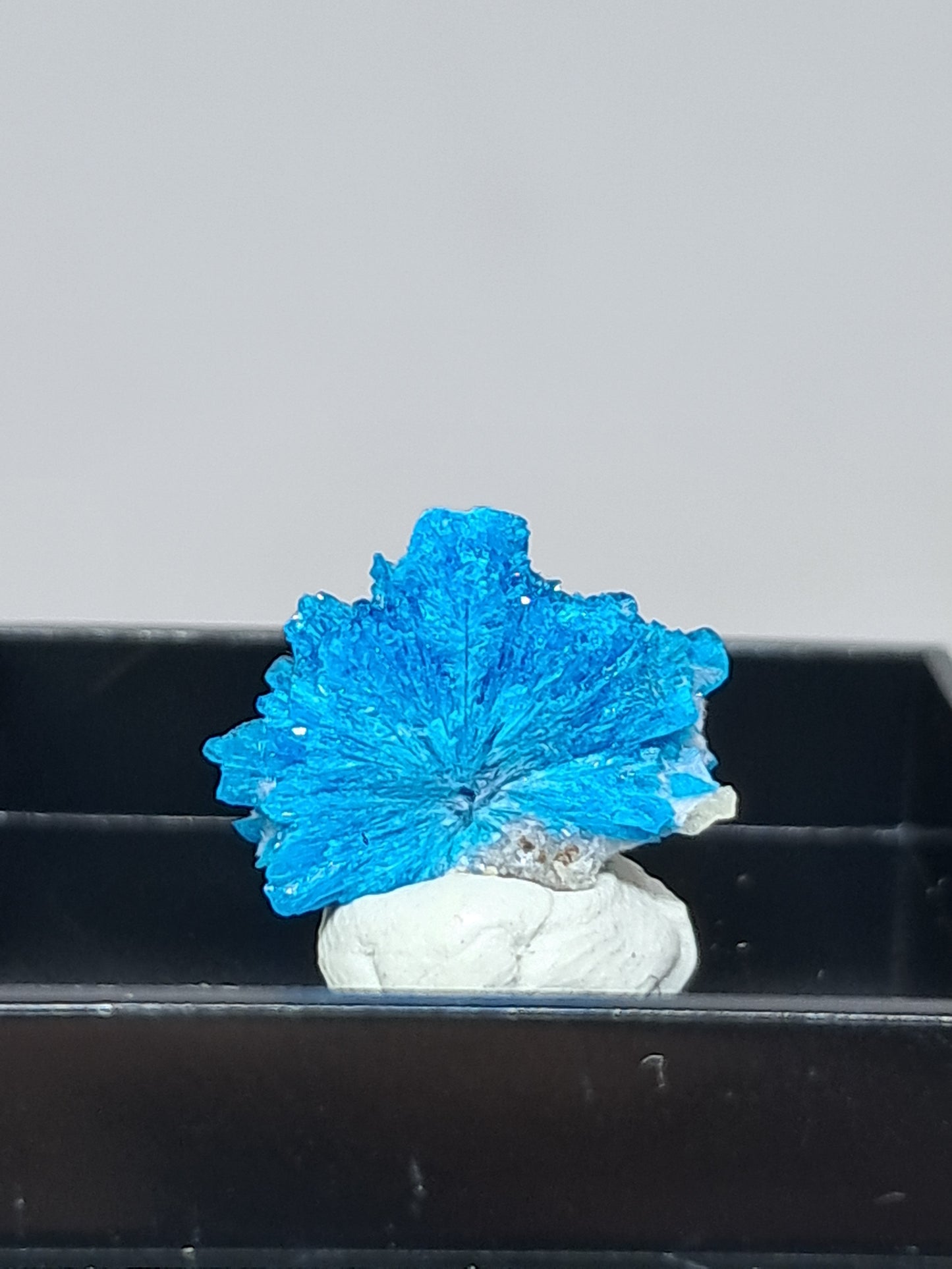 Pentagonite (Pune) Rough Stone | Natural Crystal | Rare Mineral Specimen #CV56