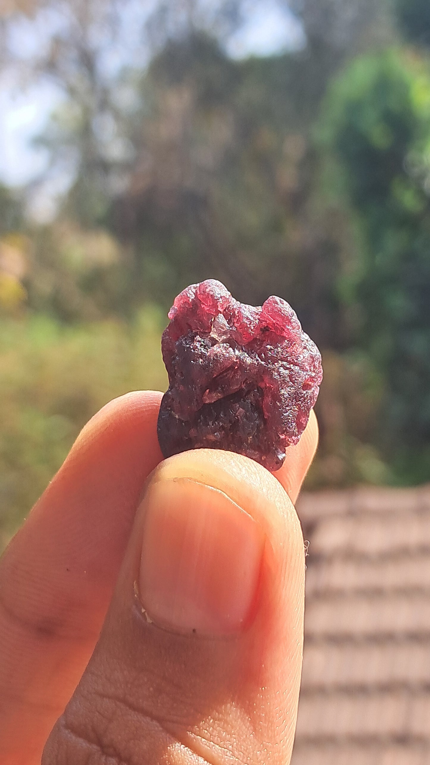 Granate rojo (Karur) | Pulido por río | Piedra natural #RG8