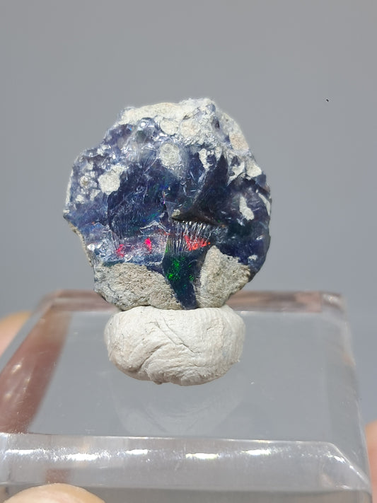 Natural Ethiopian Opal | Black Hydrophane Opal #OP26