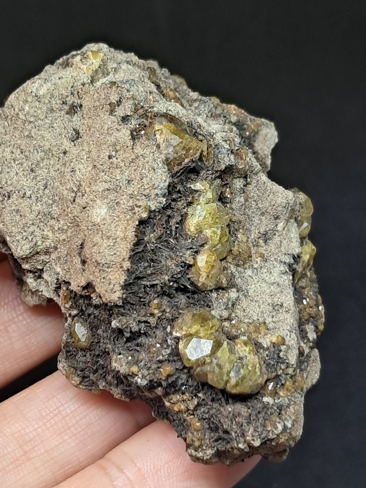 Green Garnet w/ Aegirine (Acmite) on Matrix (Mexico) Andradite Garnet Cluster |Rough Crystal Stone | Mineral Specimen #GR30