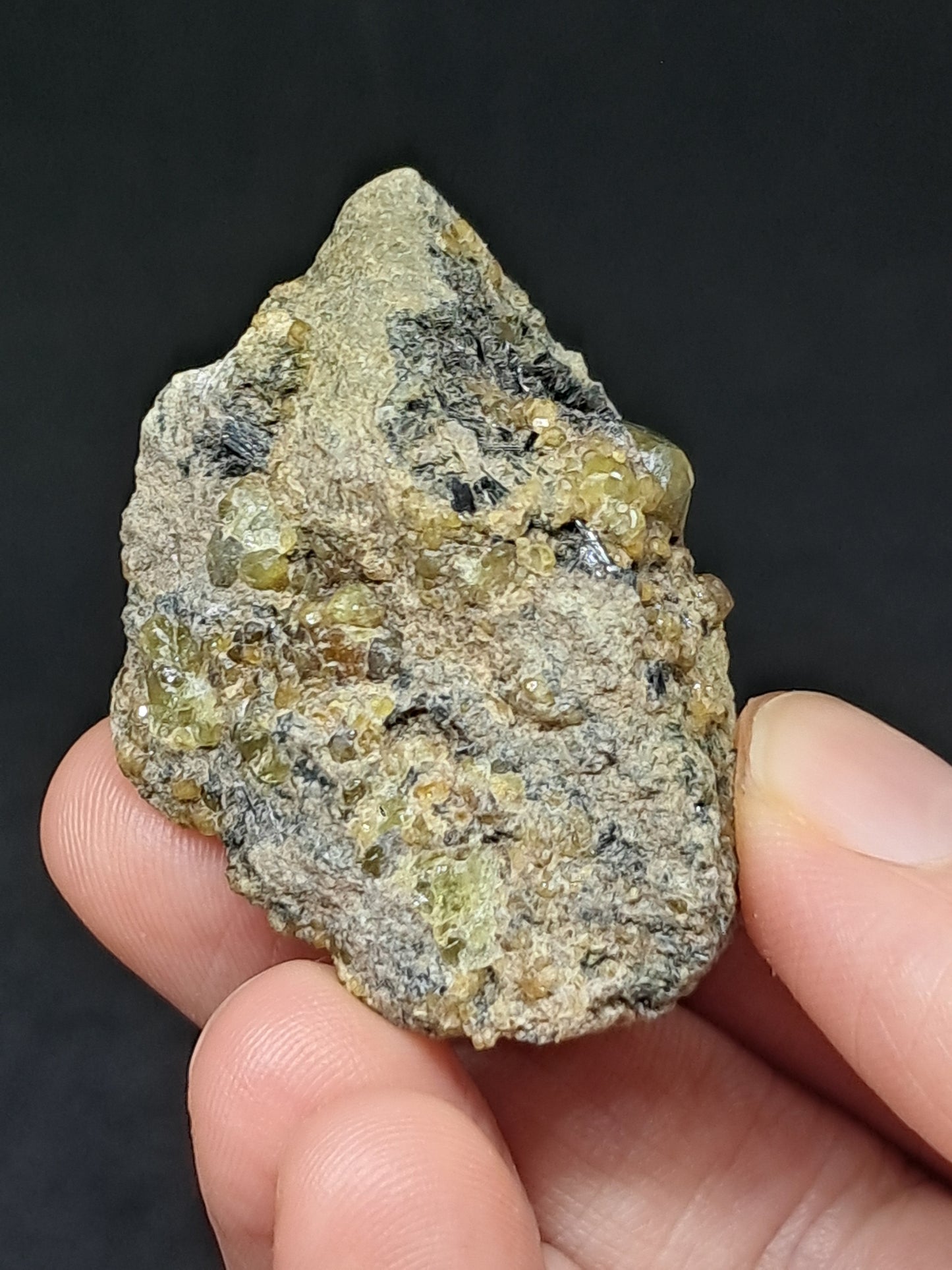 Green Garnet w/ Aegirine (Acmite) on Matrix (Mexico) Andradite Garnet Cluster |Rough Crystal Stone | Mineral Specimen #GR31