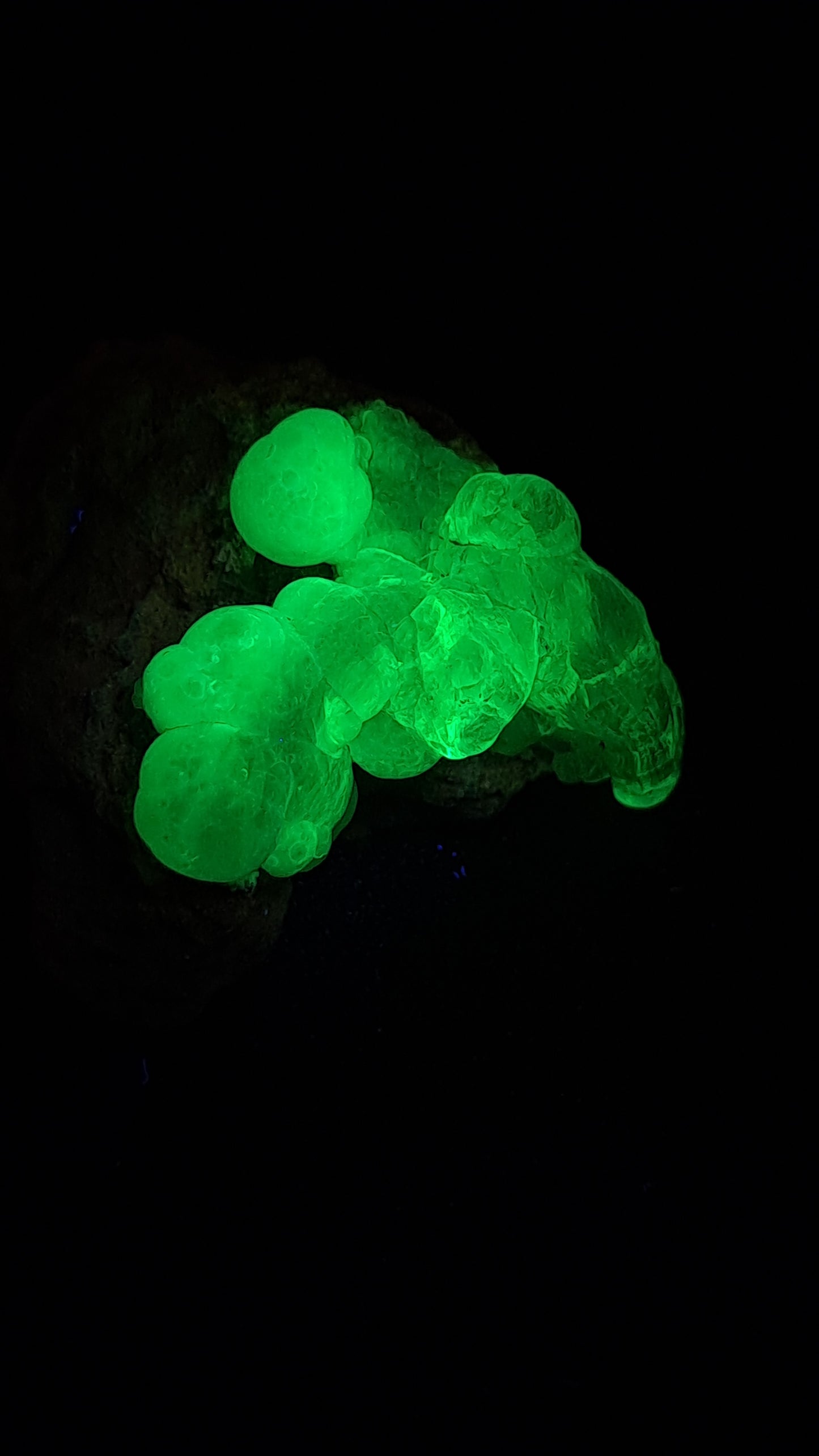 Hyalite Opal on Matrix (Mexico) Rough Crystal Stone | UV-Reactive Mineral Specimen #OH2