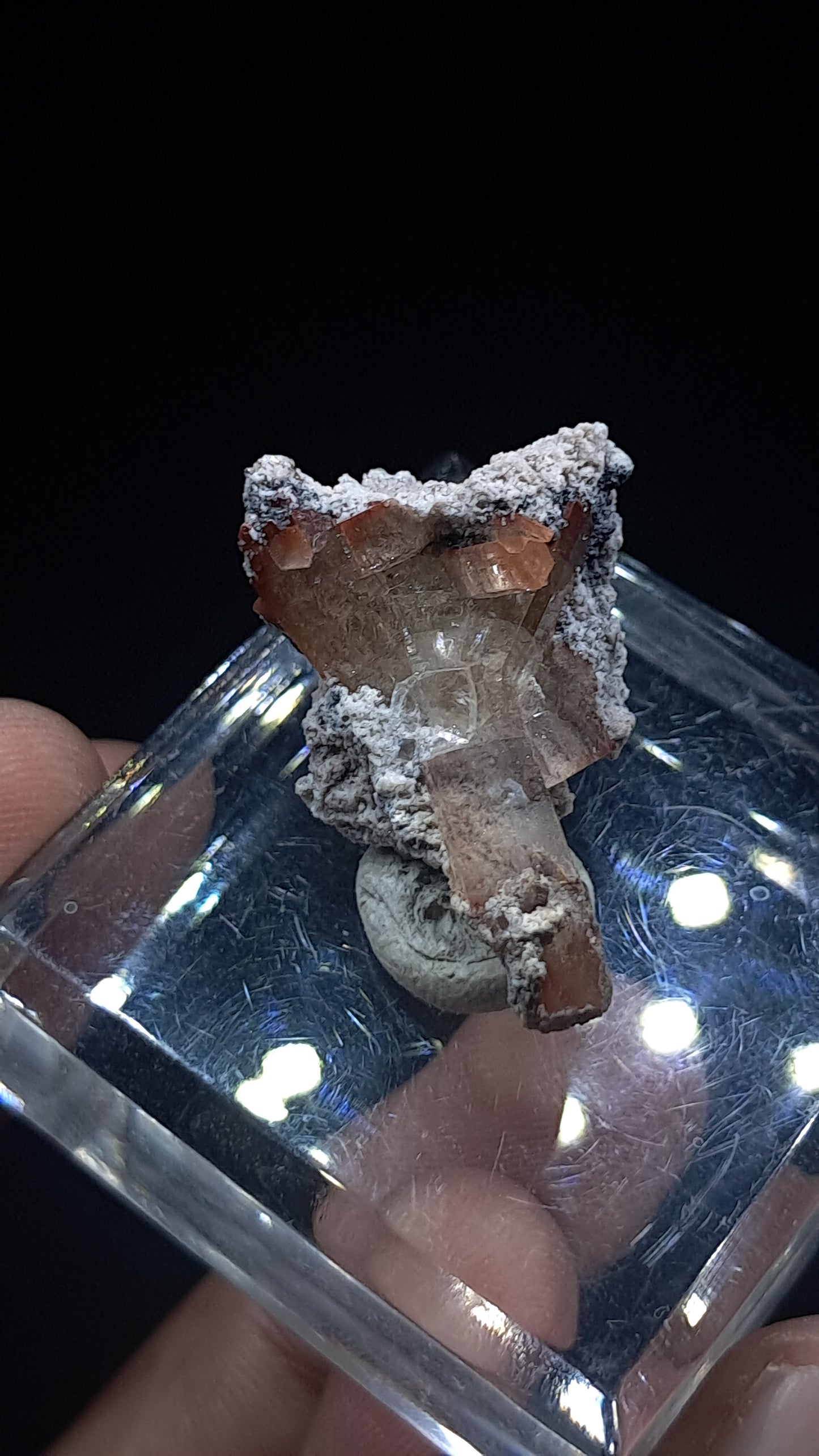 Natural Topaz Crystal Cluster (Mexico) Champagne Colour | Rare Gemstone | Mineral Specimen #TPZ38