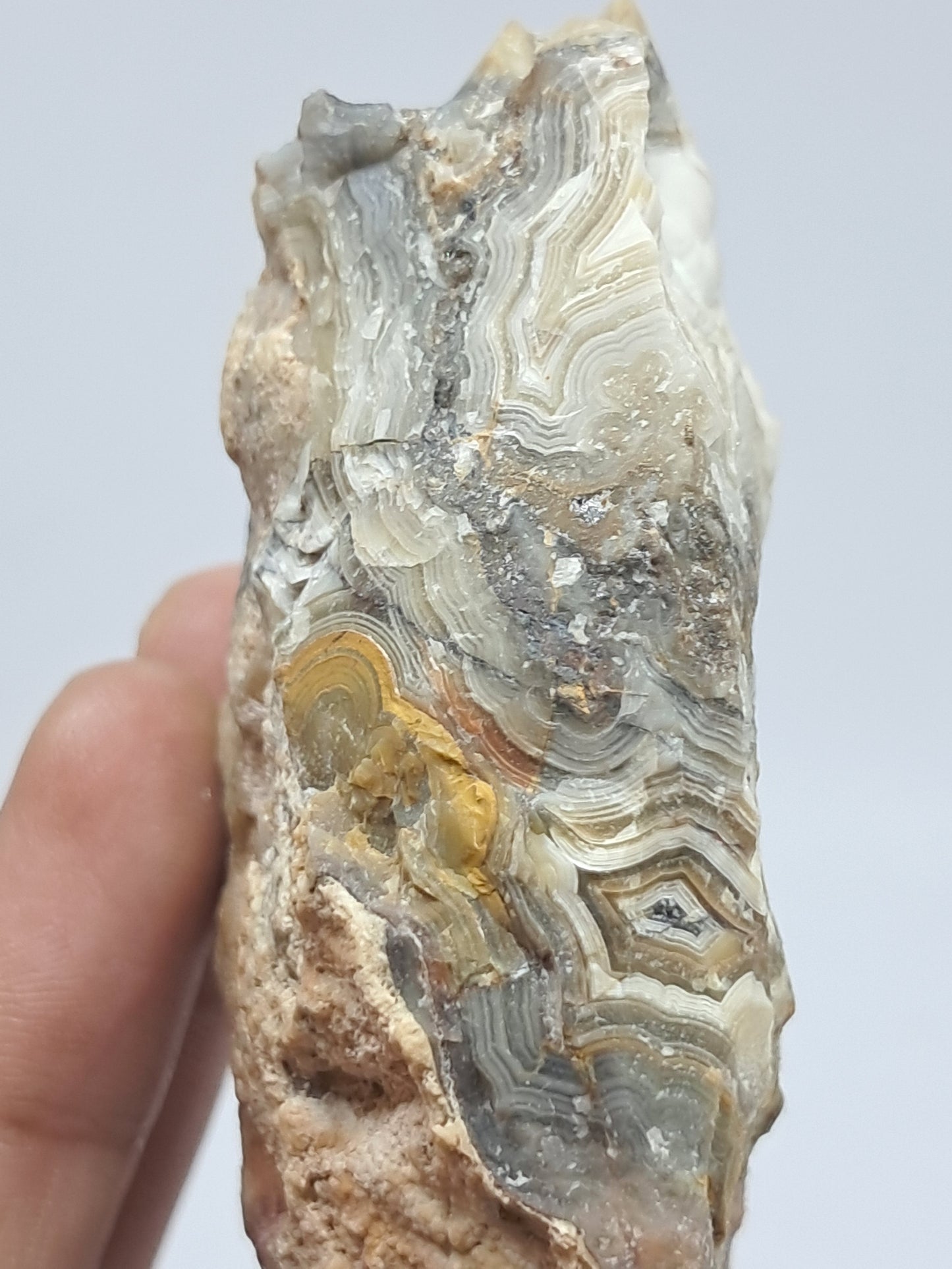 Crazy Lace Agate Rough | Natural Stone | Mineral Specimen #CLA1