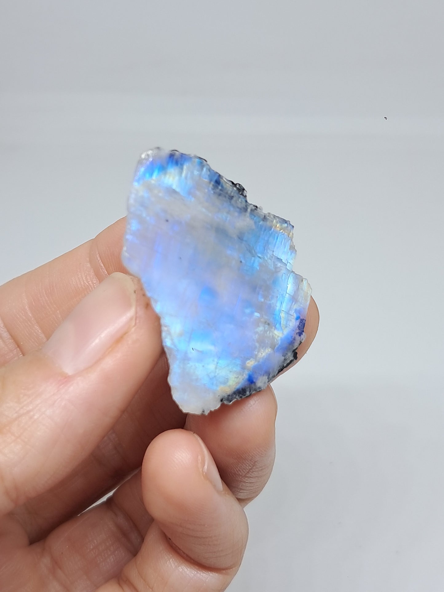 White Labradorite | Rainbow Moonstone *High Grade* (Tamil Nadu) Rough & Polished Stone | Natural Rock #MN19