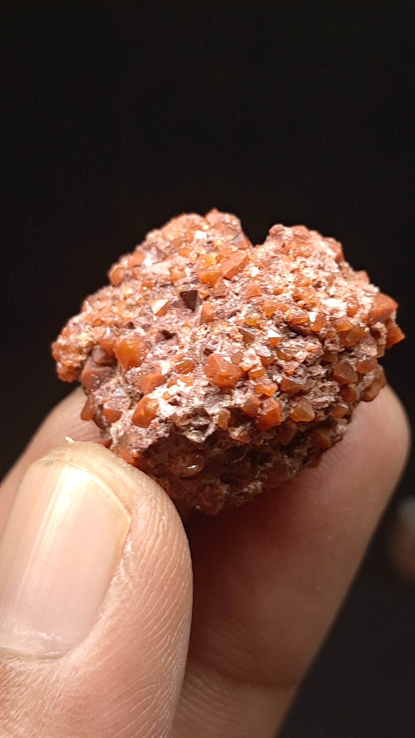 Jacinto de Compostela Quartz On Matrix | Natural Crystal | Mineral Specimen #JCQ9