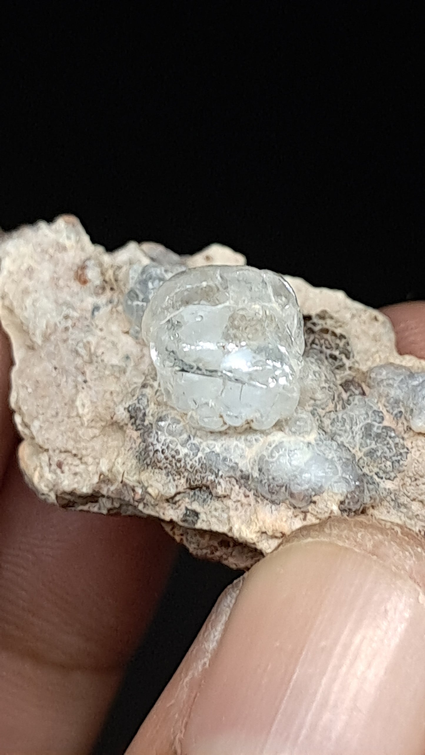 Hyalite Opal on Matrix (Mexico) Rough Crystal Stone | UV-Reactive Mineral Specimen #OH1