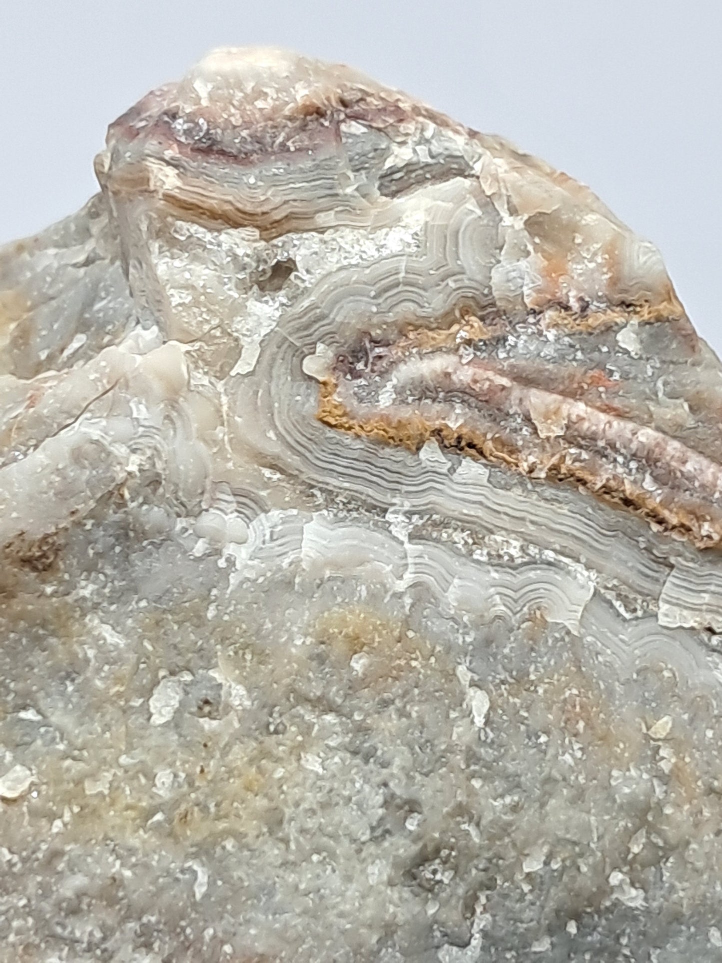 Crazy Lace Agate Rough | Natural Stone | Mineral Specimen #CLA2