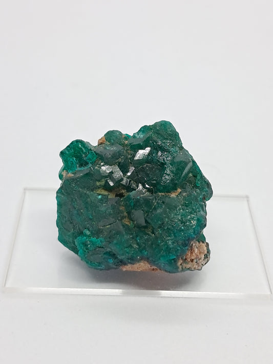 Cúmulo natural de dioptasa (DRC) | Cristal en bruto | Ejemplar mineral n.° DPT7