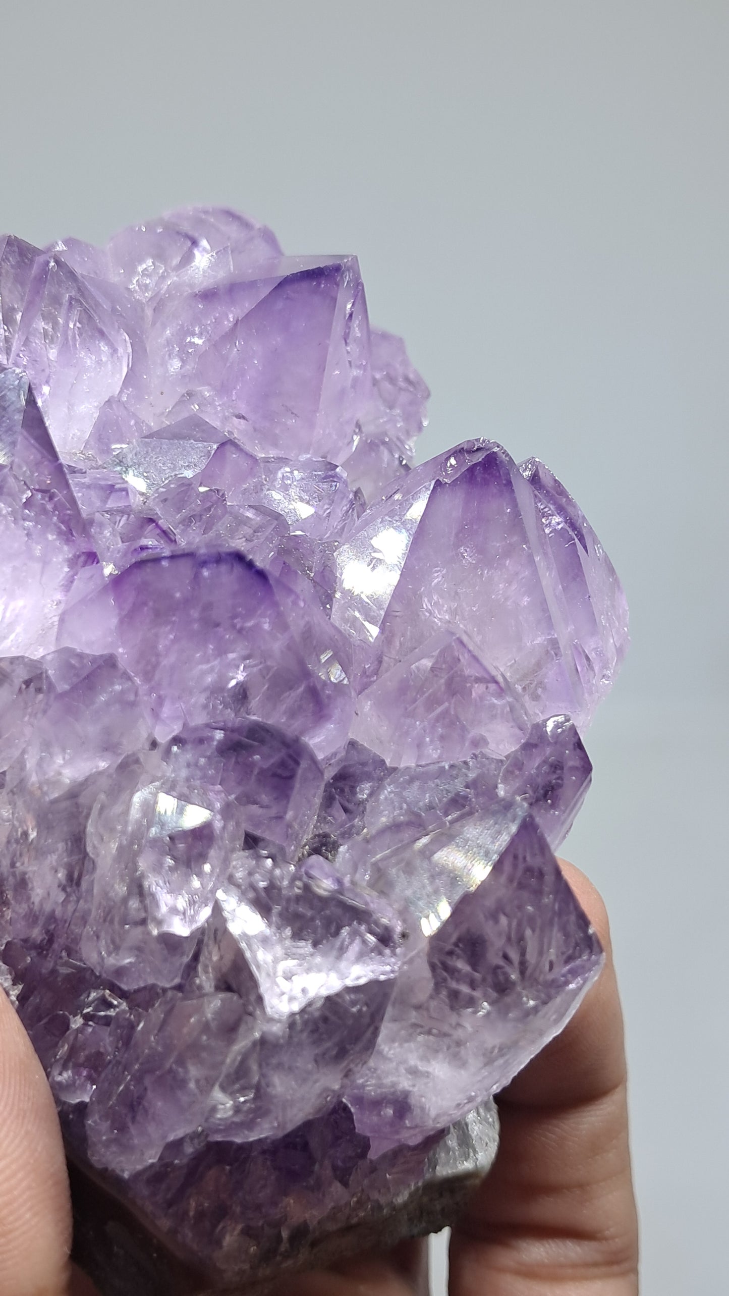 Amatista Morada Profunda Sobre Ágata Bandeada (Brasil) | Drusa Natural | Puntas de Cristal Grandes #AMB1