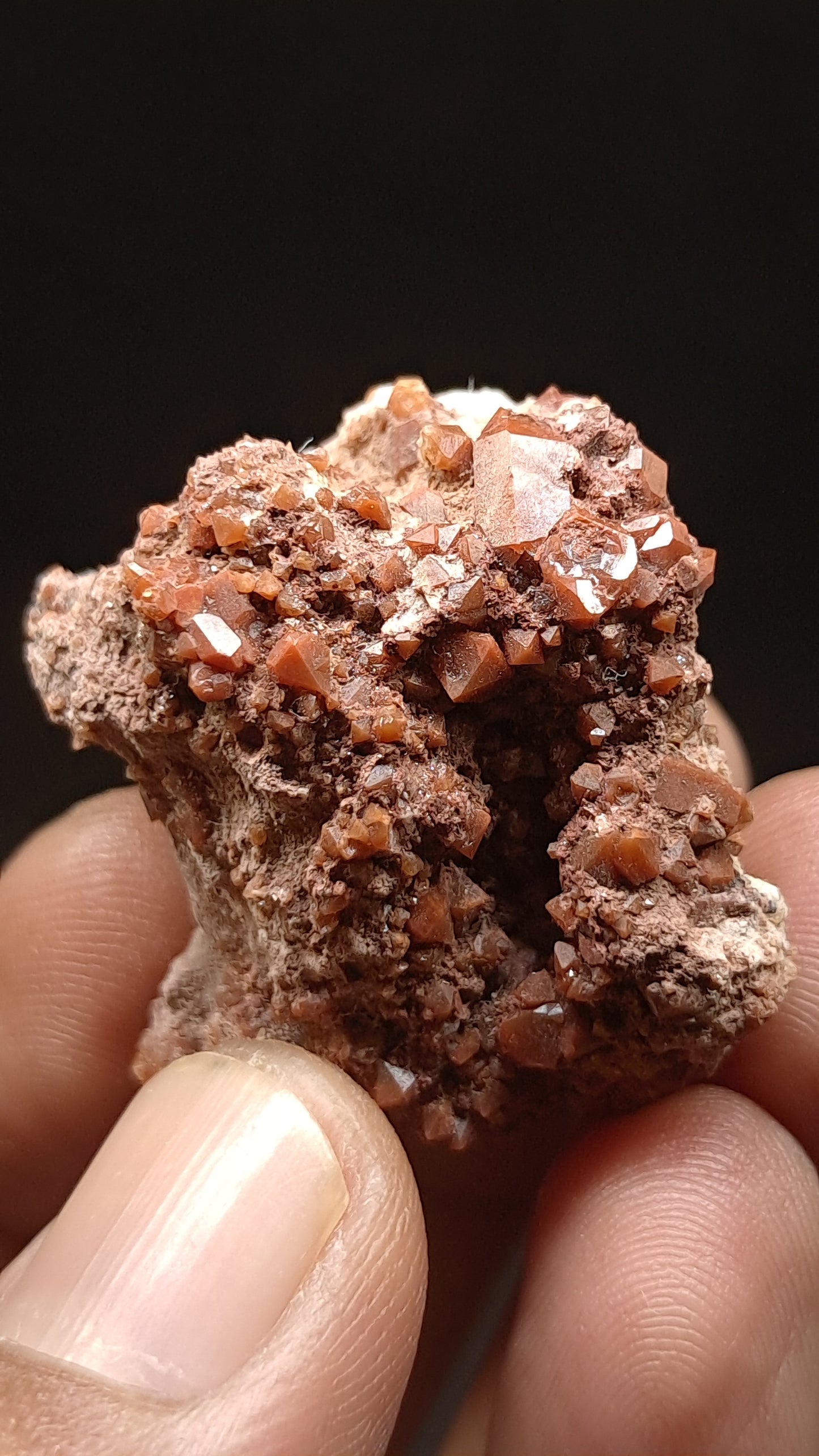 Jacinto de Compostela Quartz Cluster On Matrix | Natural Crystal | Mineral Specimen #JCQ8