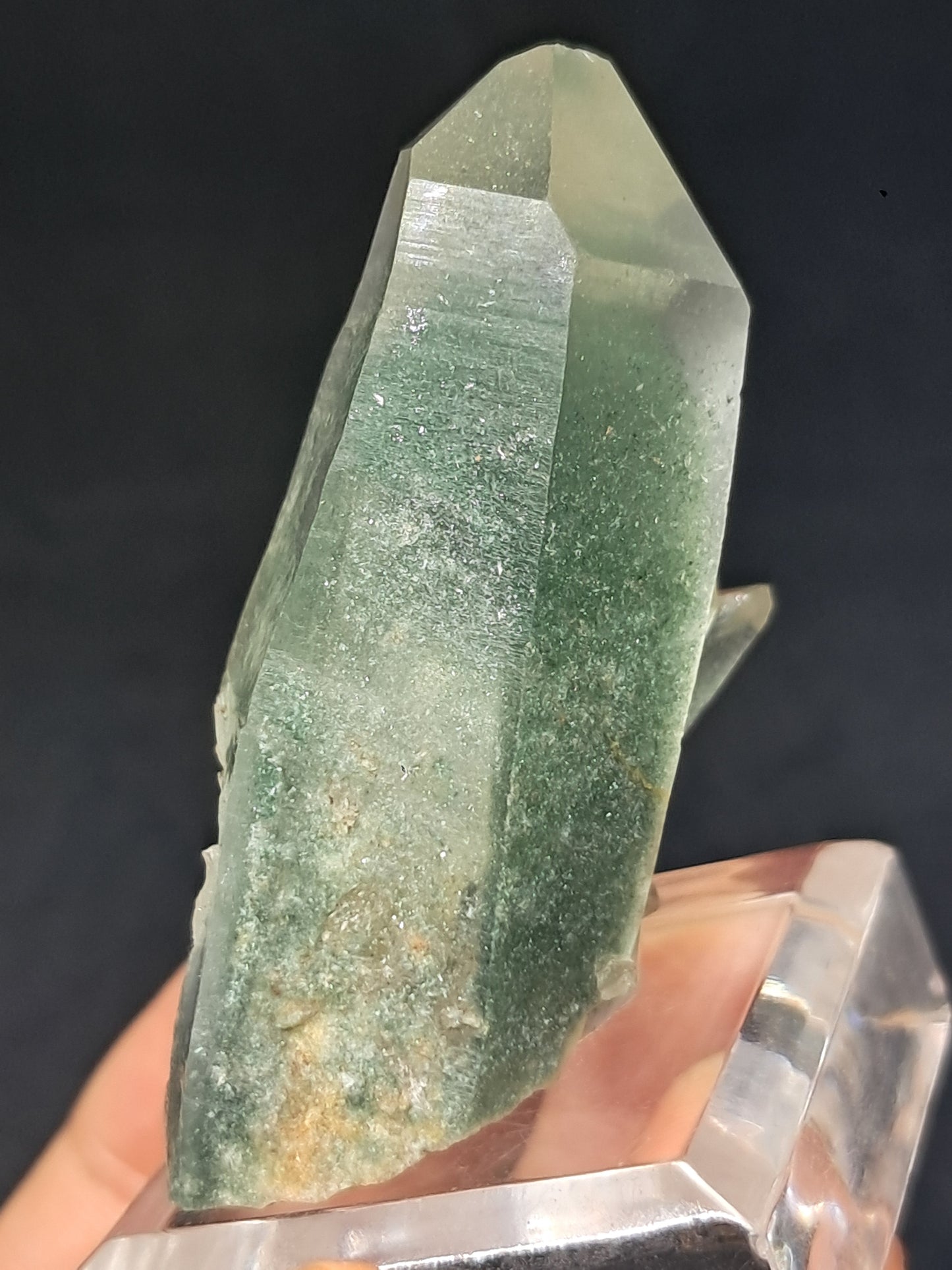 Chlorite Phantom *Bridge* Quartz (Kullu) Natural Crystal | Garden Chamanic #CQ78