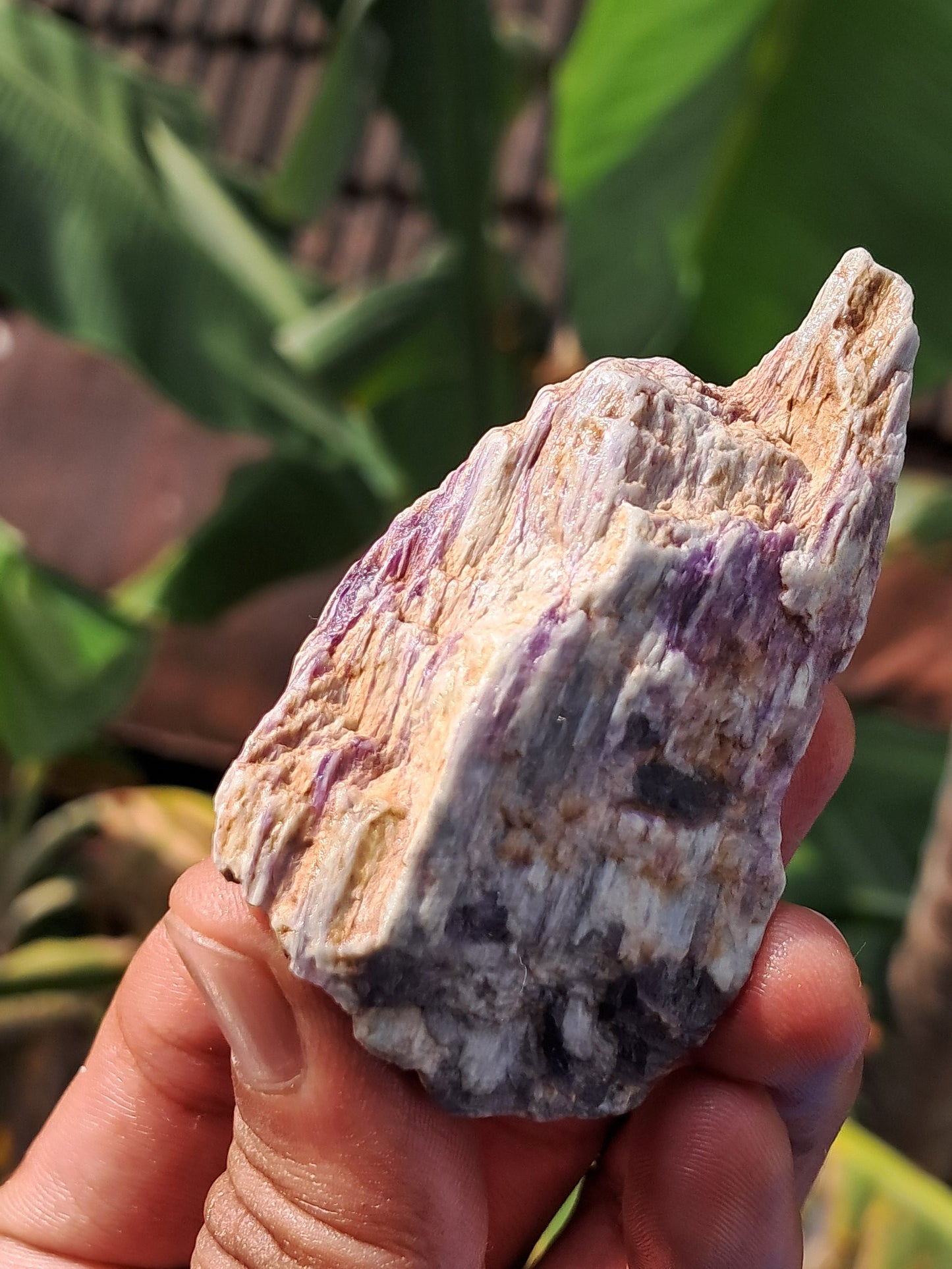 Kammererite on Clinochlore (Ural Mountains, Russia) | Rare Stone #KM3