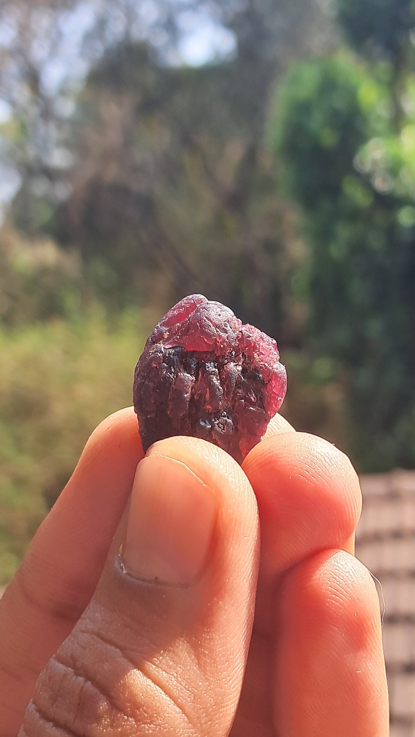 Granate rojo (Karur) | Pulido por el río | Piedra natural #RG10