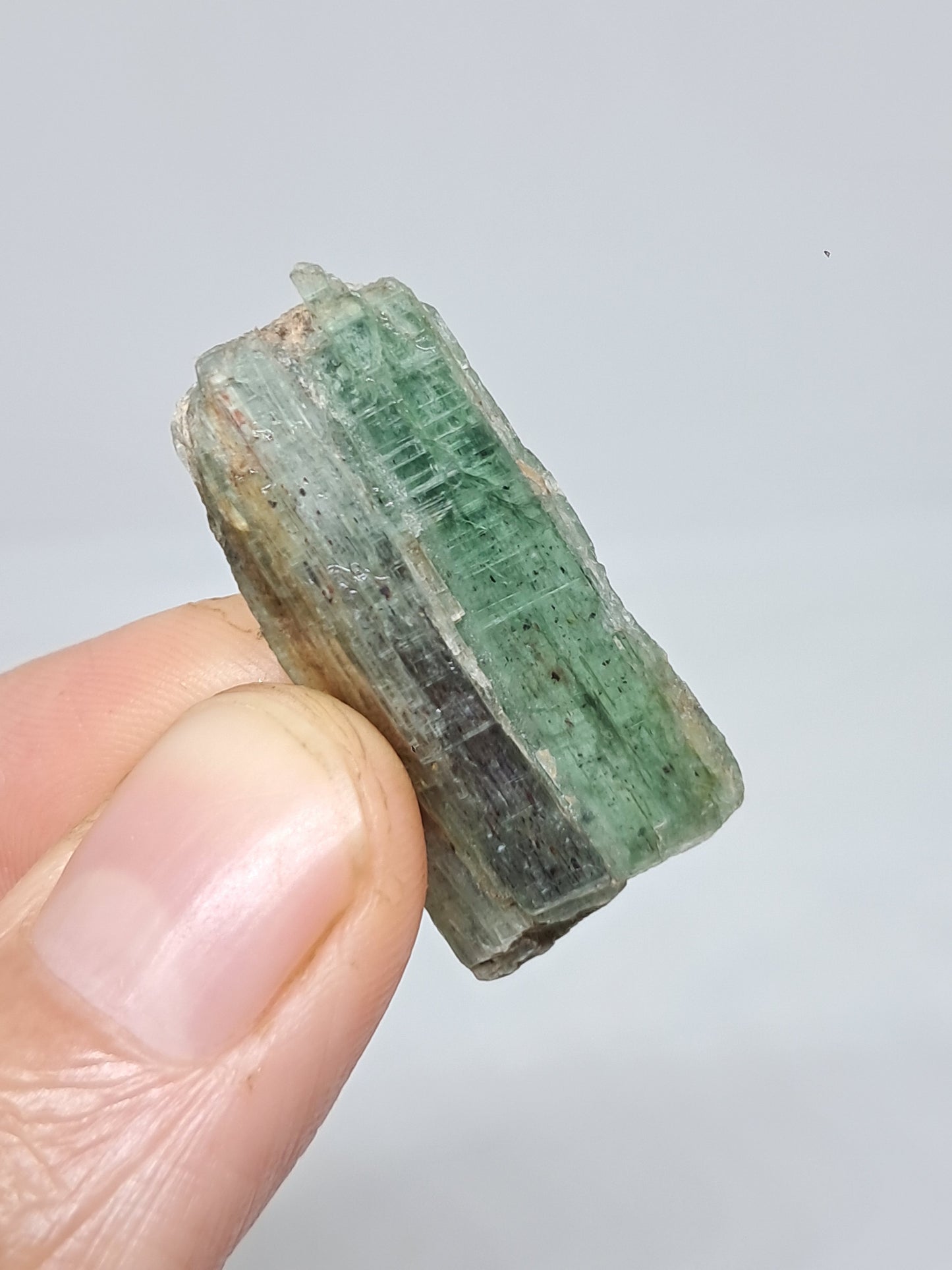 Green Kyanite (Tamil Nadu) Natural Crystal #KY8