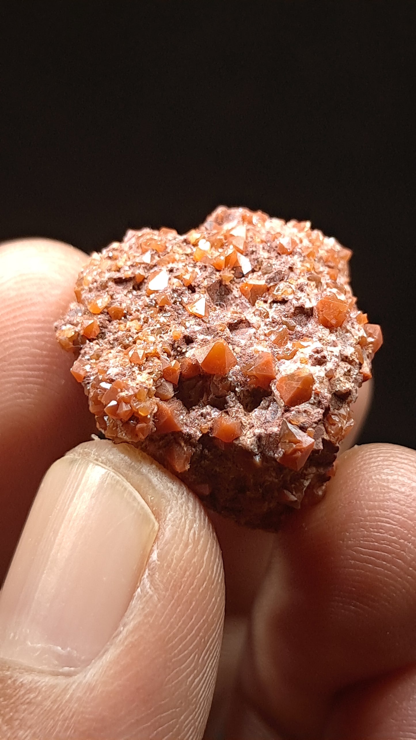 Jacinto de Compostela Quartz On Matrix | Natural Crystal | Mineral Specimen #JCQ9