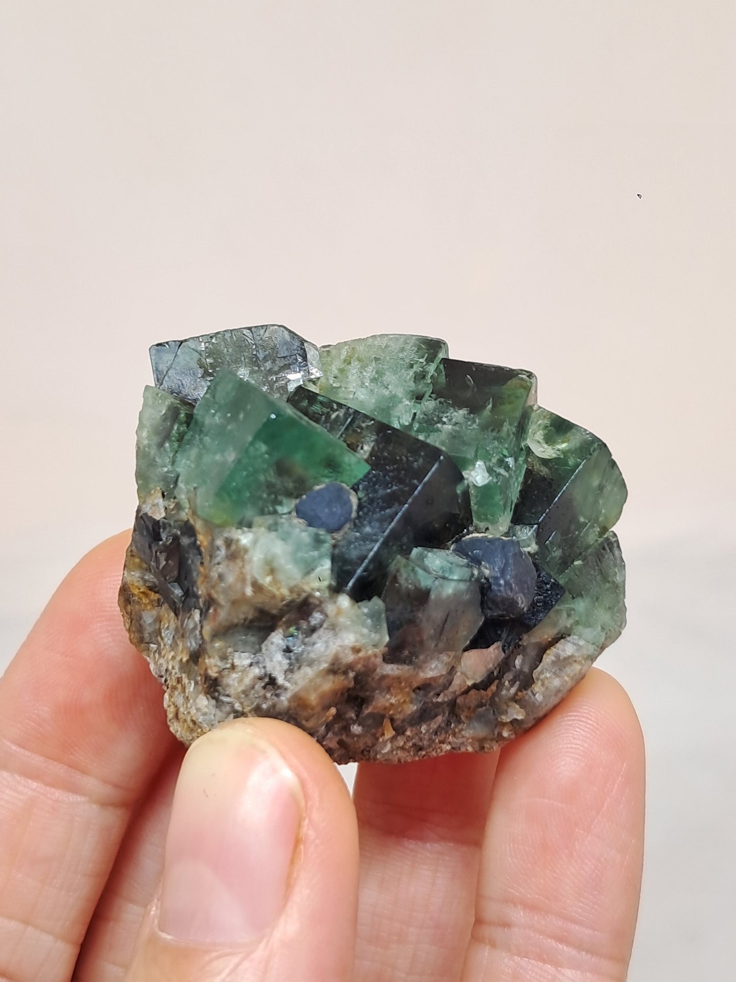 Bicolor Fluorite on Matrix (Durham, UK) Natural Crystal | Mineral Specimen #FL4