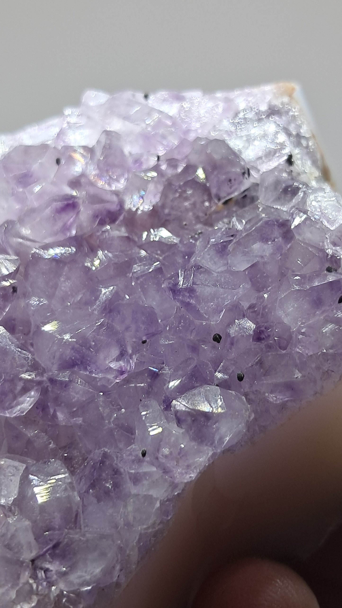 Amatista lavanda morada (Brasil) | Drusa natural | Espécimen mineral #AMB10