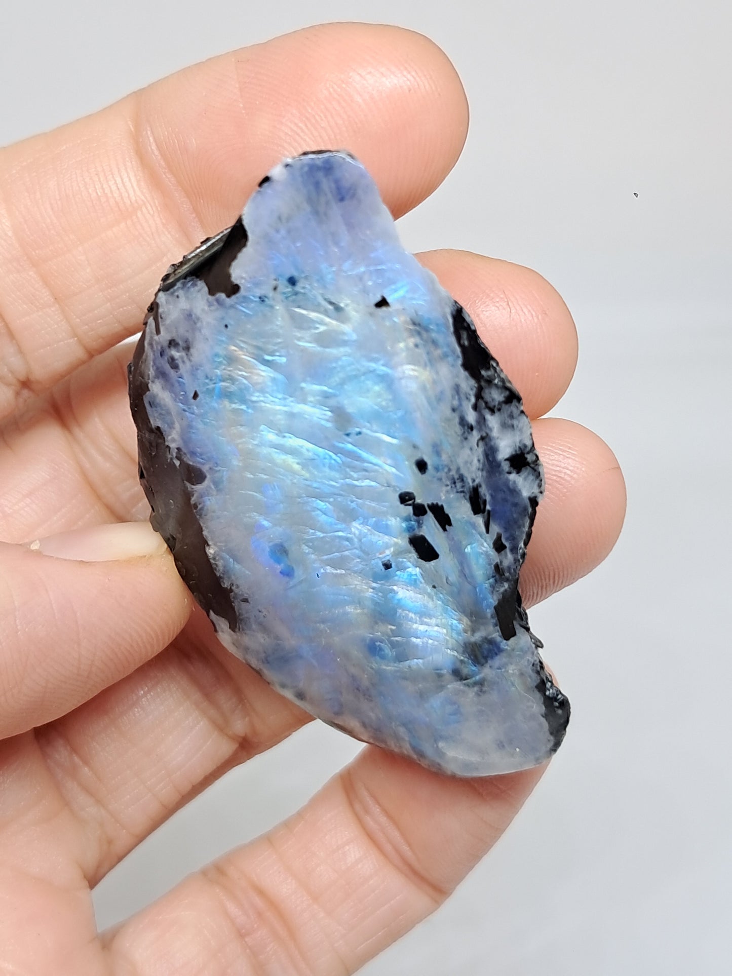 White Labradorite | Rainbow Moonstone *High Grade* (Tamil Nadu) Rough & Polished Stone | Natural Rock #MN16