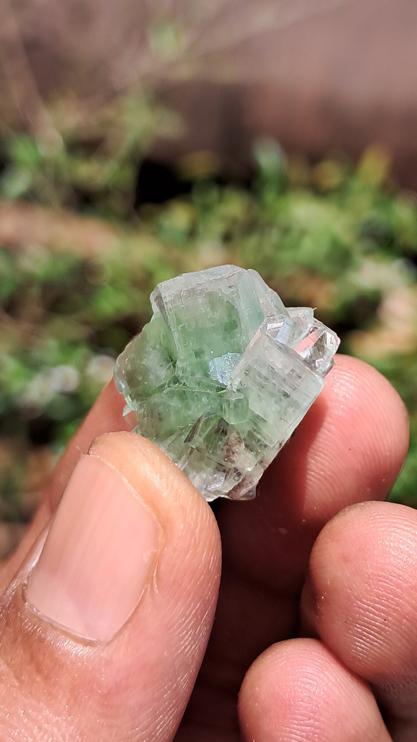 Green Apophyllite Flower (Fluorapophyllite) (Ajanta) Natural Crystal | Mineral Specimen #GA32