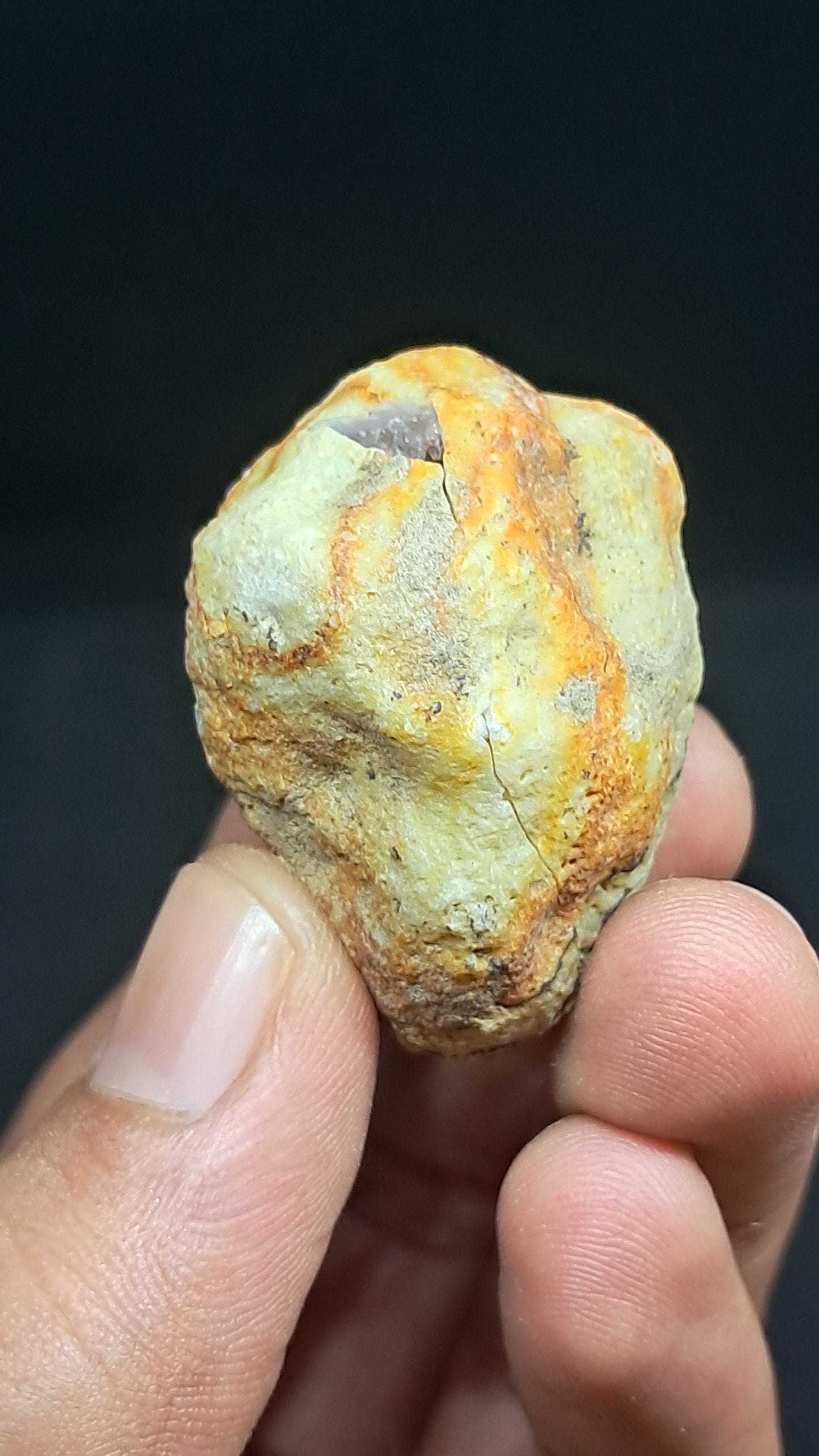 Amethyst Geode (Ajanta) | Deep Cavity | Natural Crystal | Rough Stone #GD32