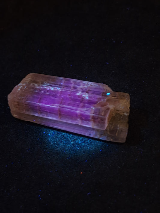 Fluorescent Scapolite Natural Crystal (Karur) UV Reactive | Rough Stone | Mineral Specimen #SCP14