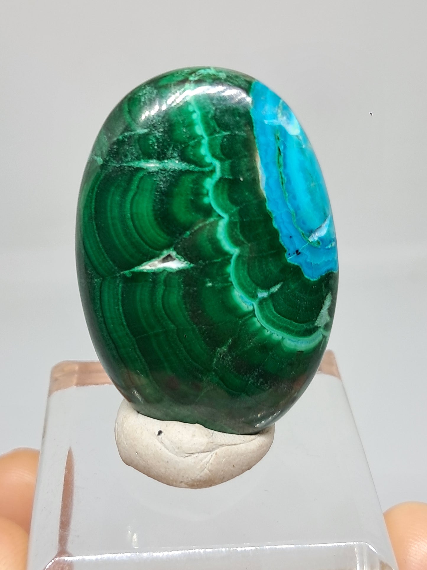 Chrysocolla Malachite Palmstone | Polished Natural Stone | Good Quality #CM25