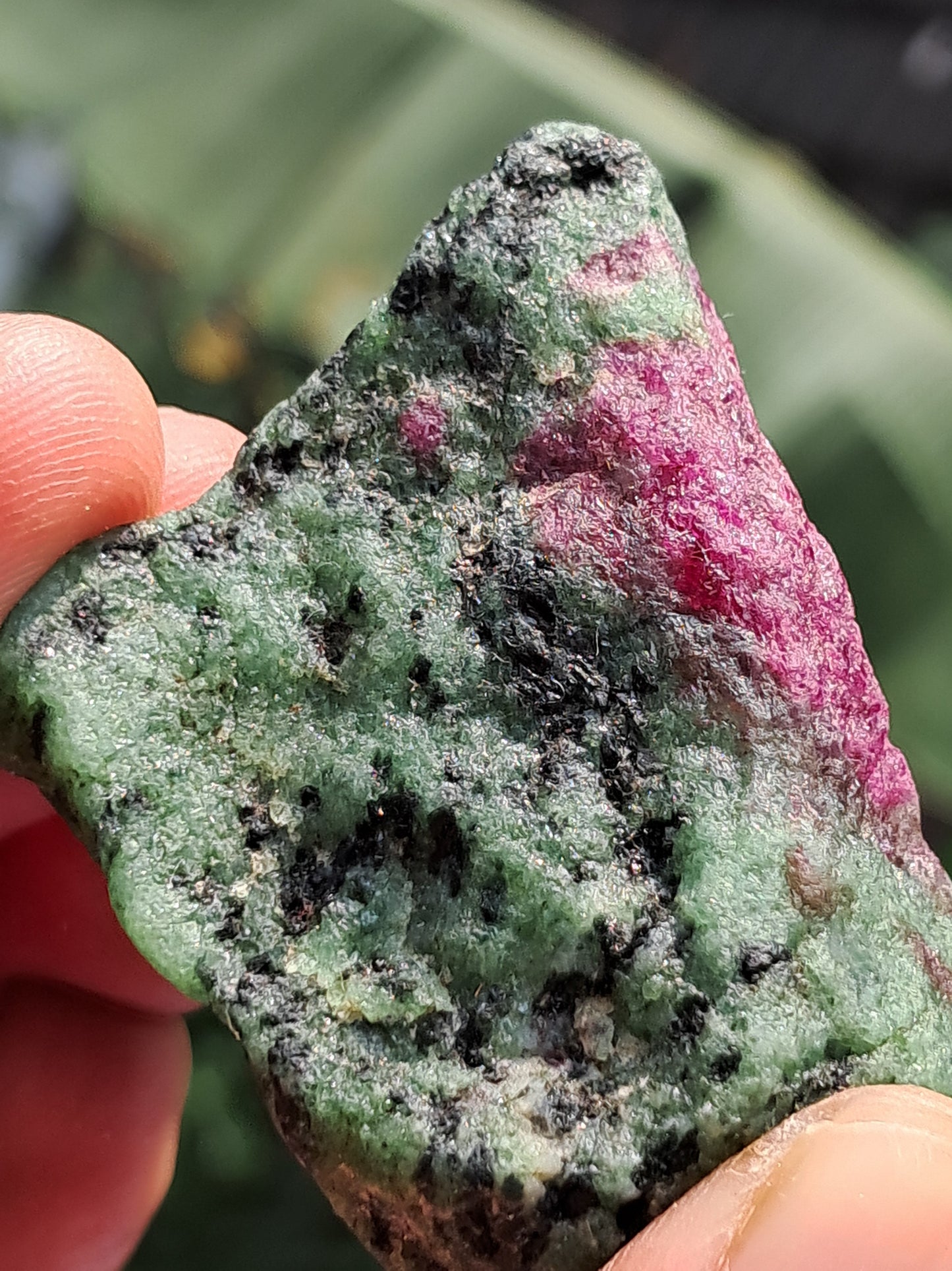 Ruby Zoisite w/ Hornblende (Tanzania) Rough Stone | Natural Specimen #RZ8