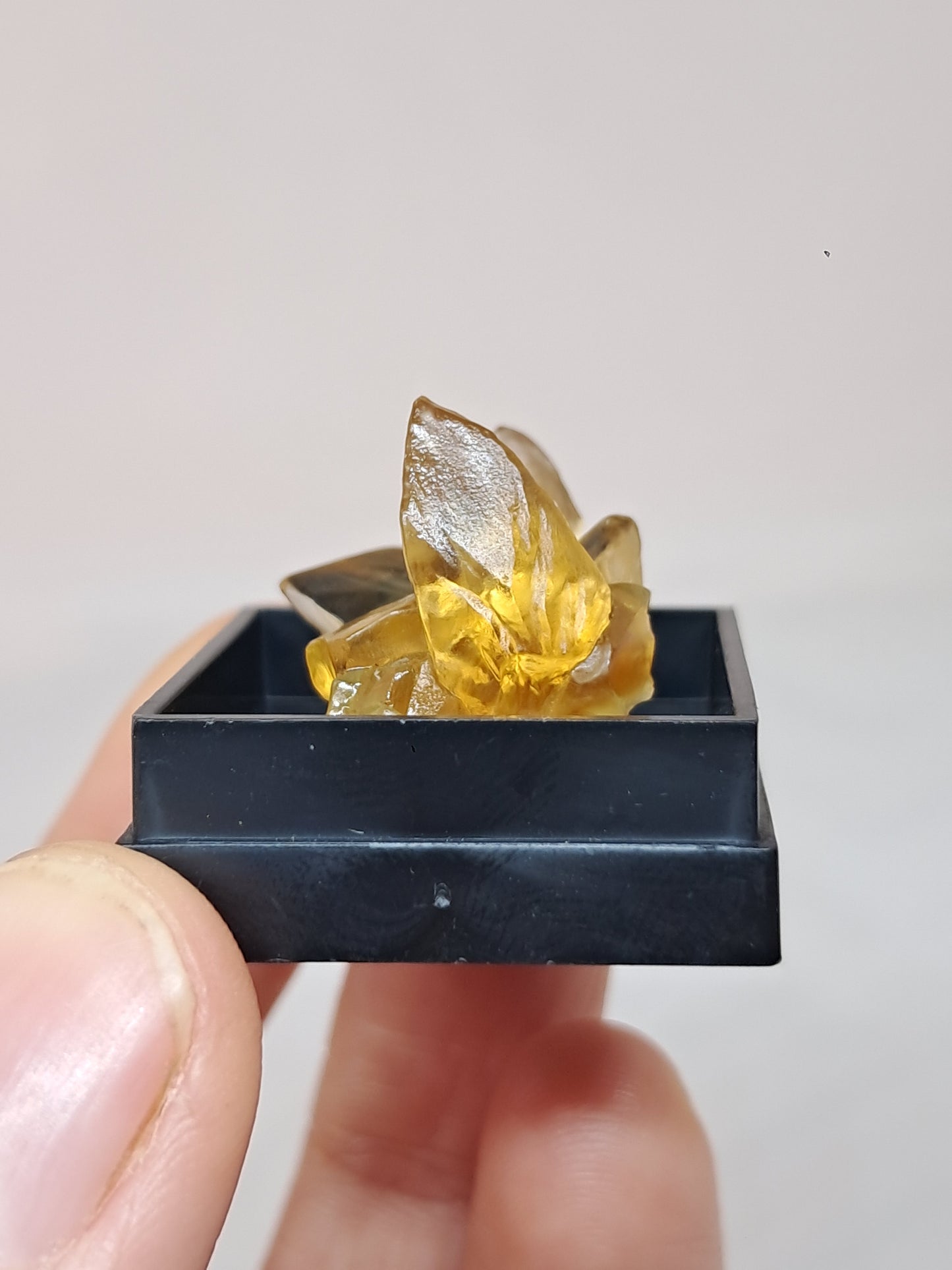 'Dog Tooth' Yellow Honey Calcite (Ahmednagar) UV Reactive Natural Crystal | Mineral Specimen #CA21