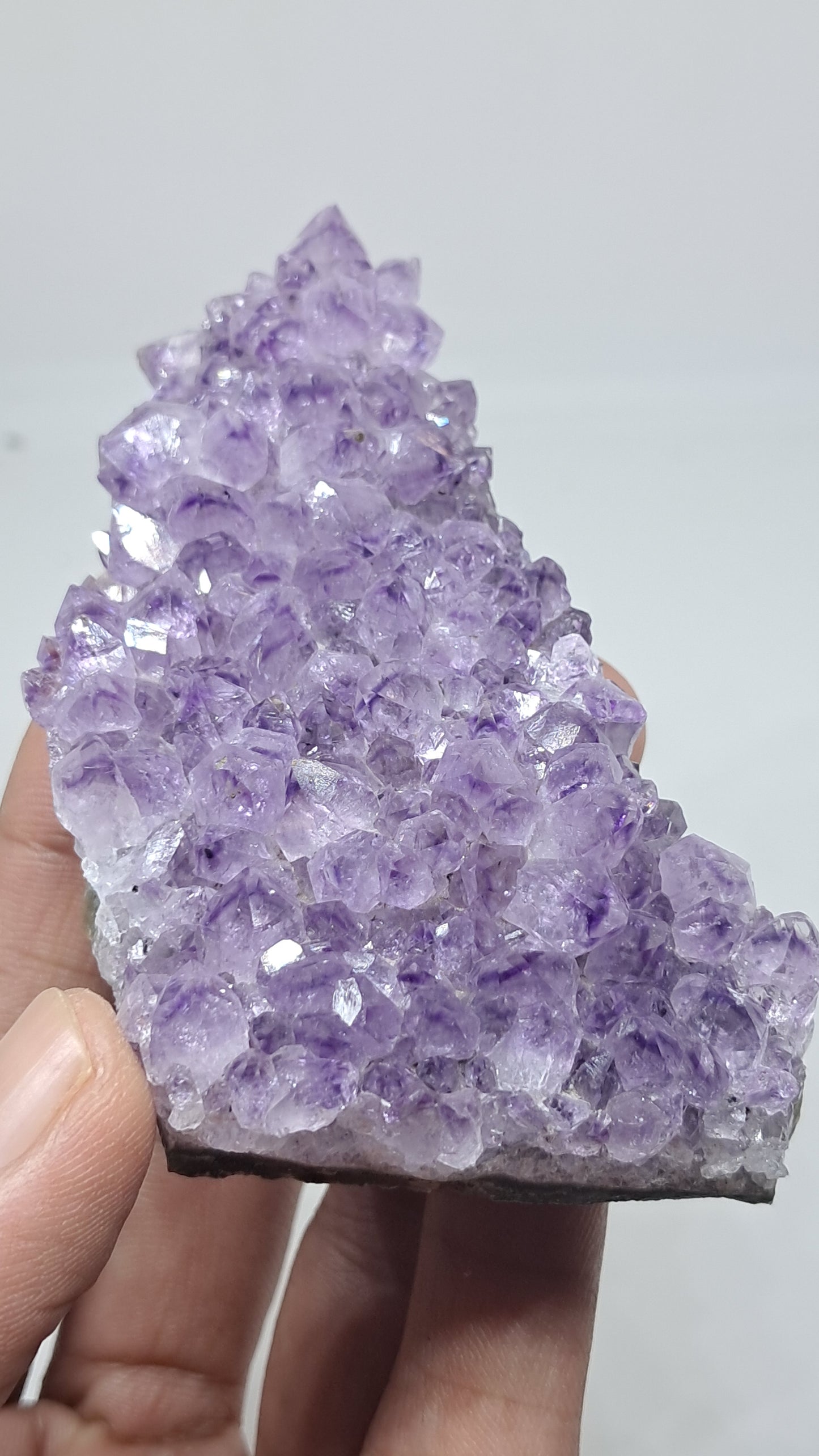 Deep Purple Amethyst (Brazil) | Natural Cluster | Mineral Specimen #AMB12