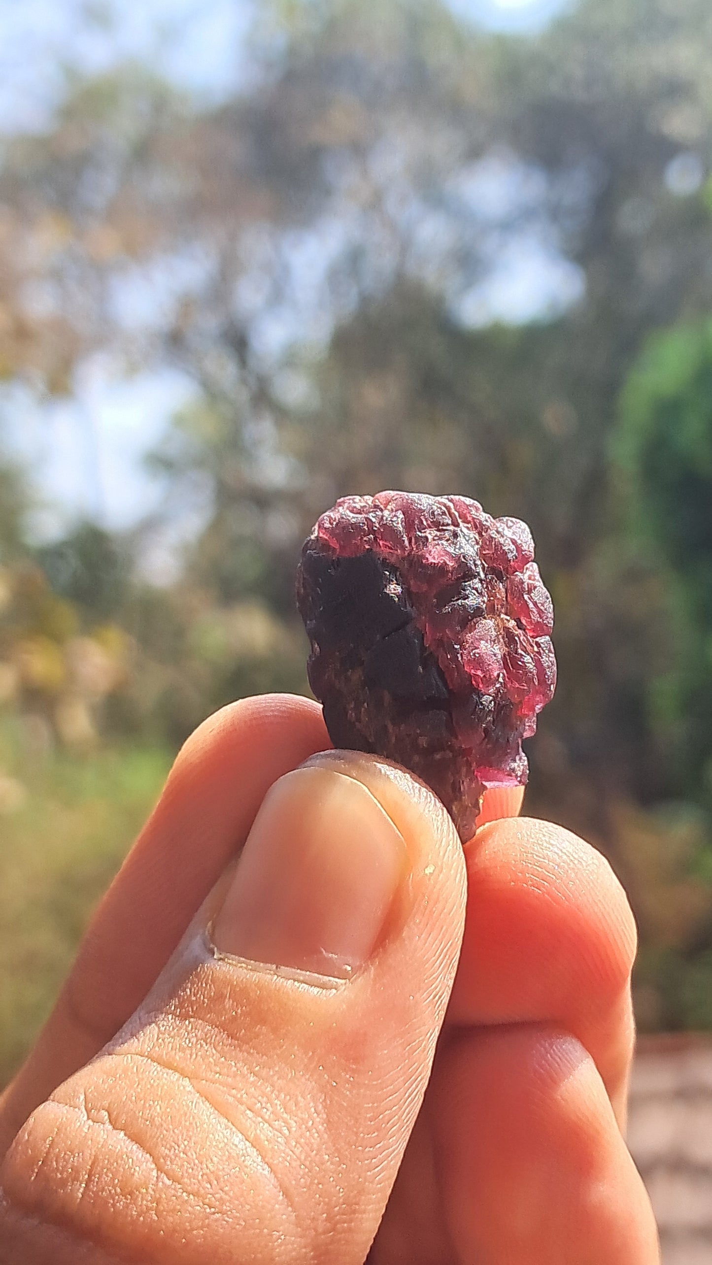Red Garnet (Karur) | River worn | Natural Stone #RG3