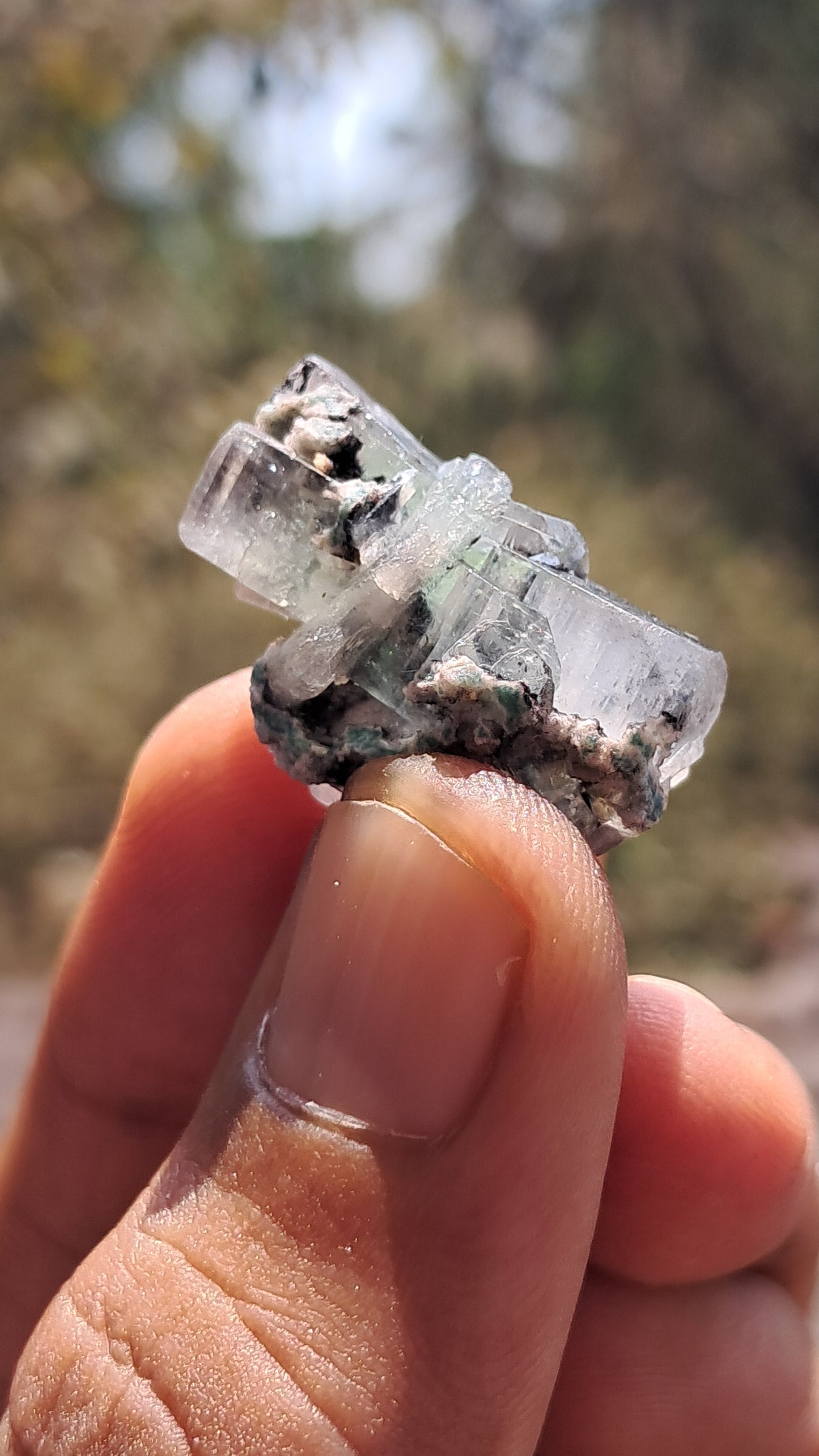Green Apophyllite (Fluorapophyllite) (Ajanta) Natural Crystal | Mineral Specimen #GA30