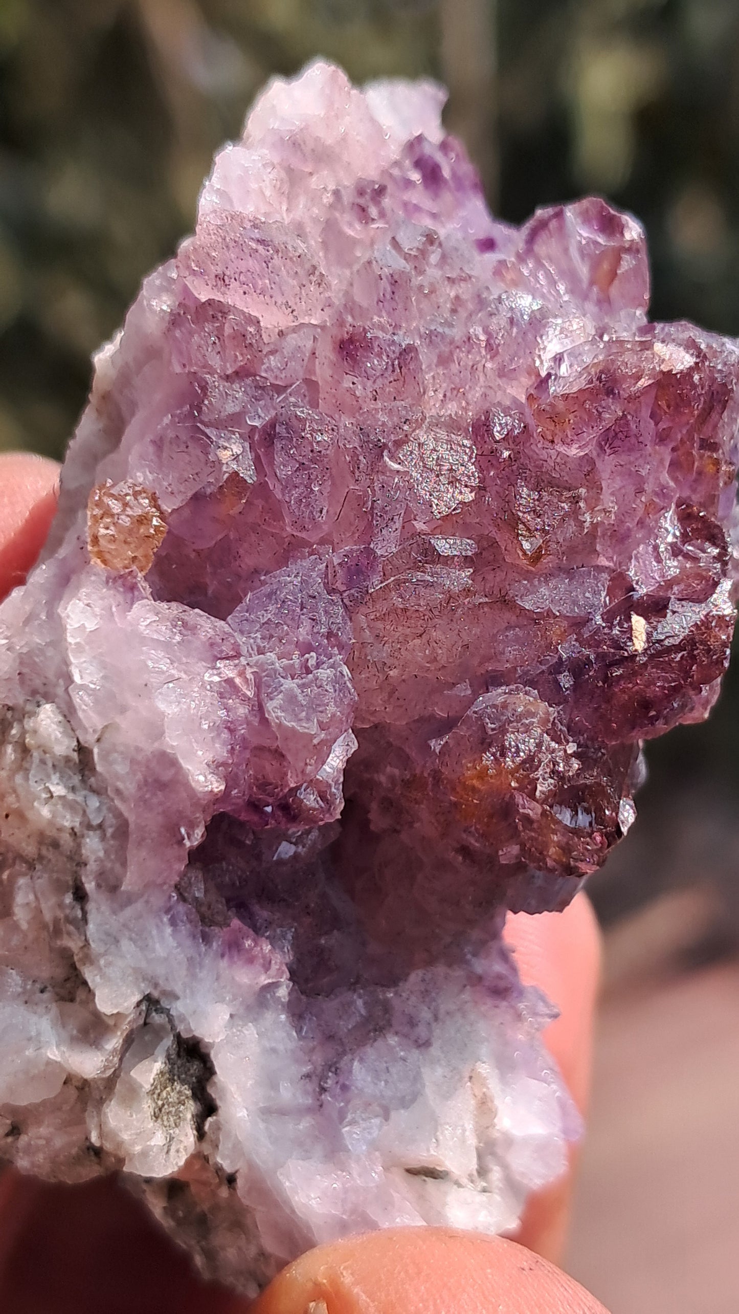 Karur Amethyst Scepter Cluster | "Super Seven" inclusions | Mineral Specimen #KA187