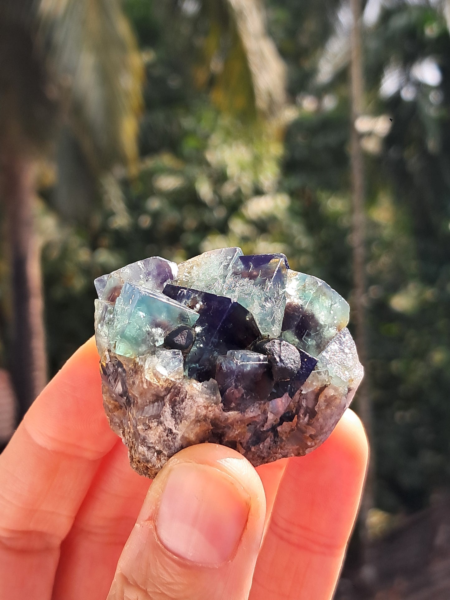 Bicolor Fluorite on Matrix (Durham, UK) Natural Crystal | Mineral Specimen #FL4