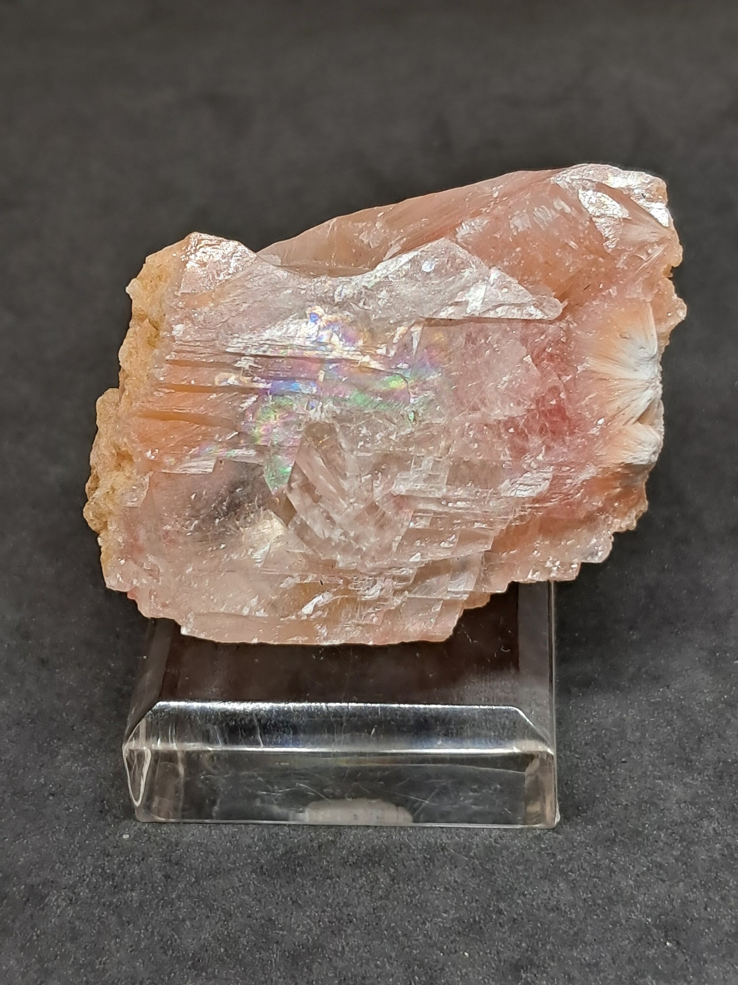 Calcita rojiza/rosa con mesolita *Hallazgo raro* (Pithampur) Cristal natural | Piedra en bruto | Muestra de mineral #CA30