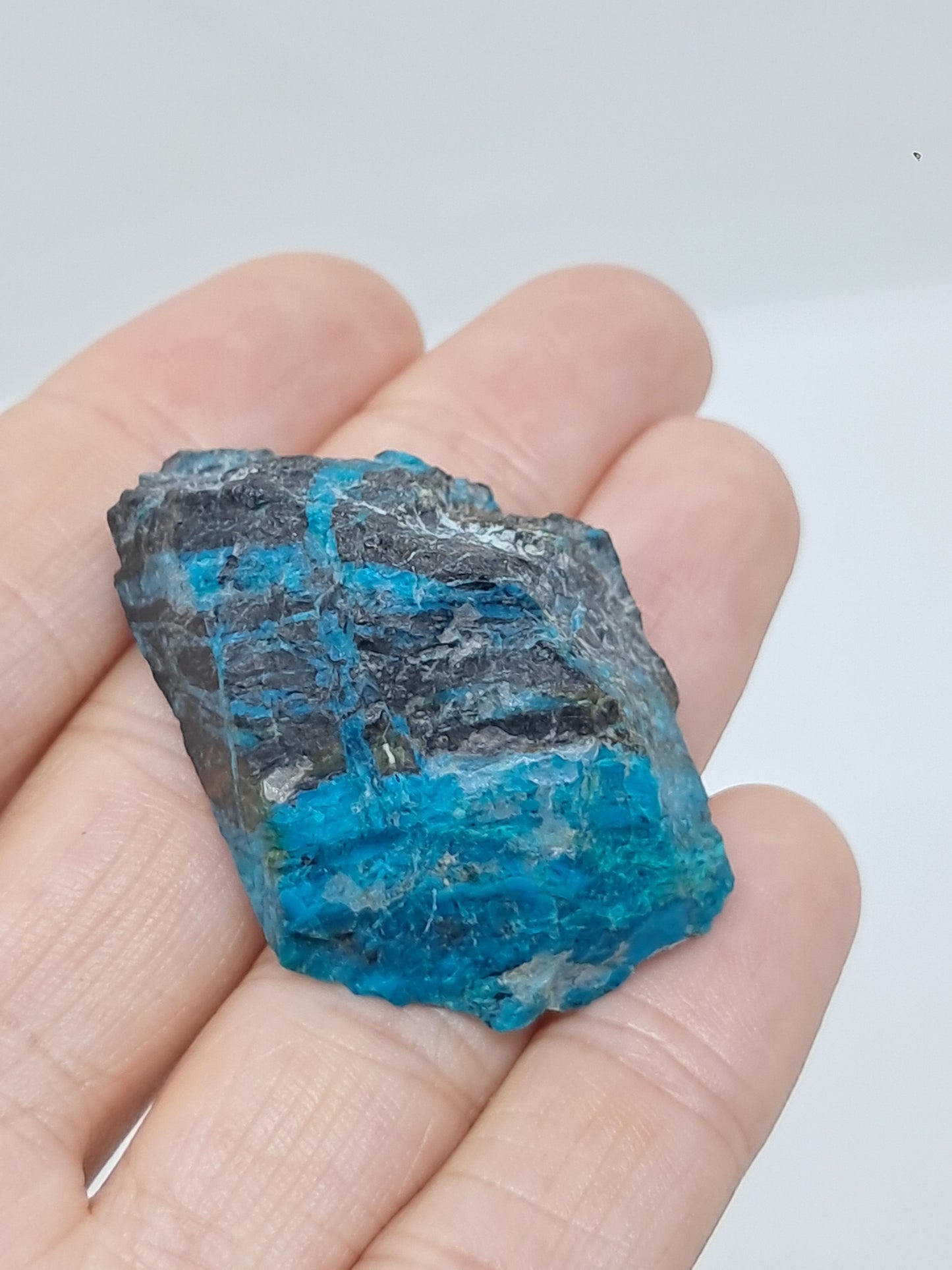 Blue Opal from Chile (Atacama) *New Find*| Rough Natural Stone | Rare Mineral Specimen #CBO3